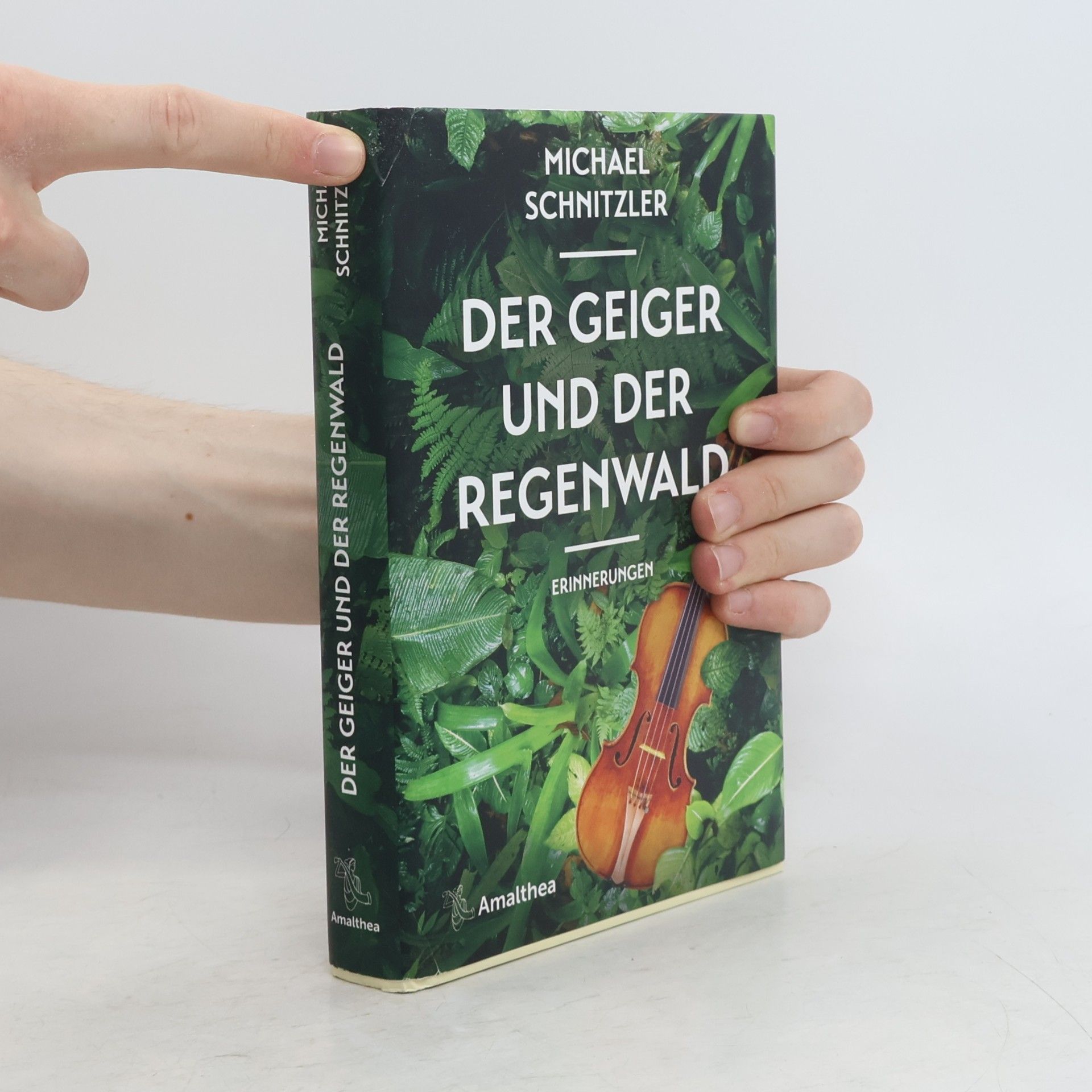 Michael Schnitzler Der Geiger und der Regenwald