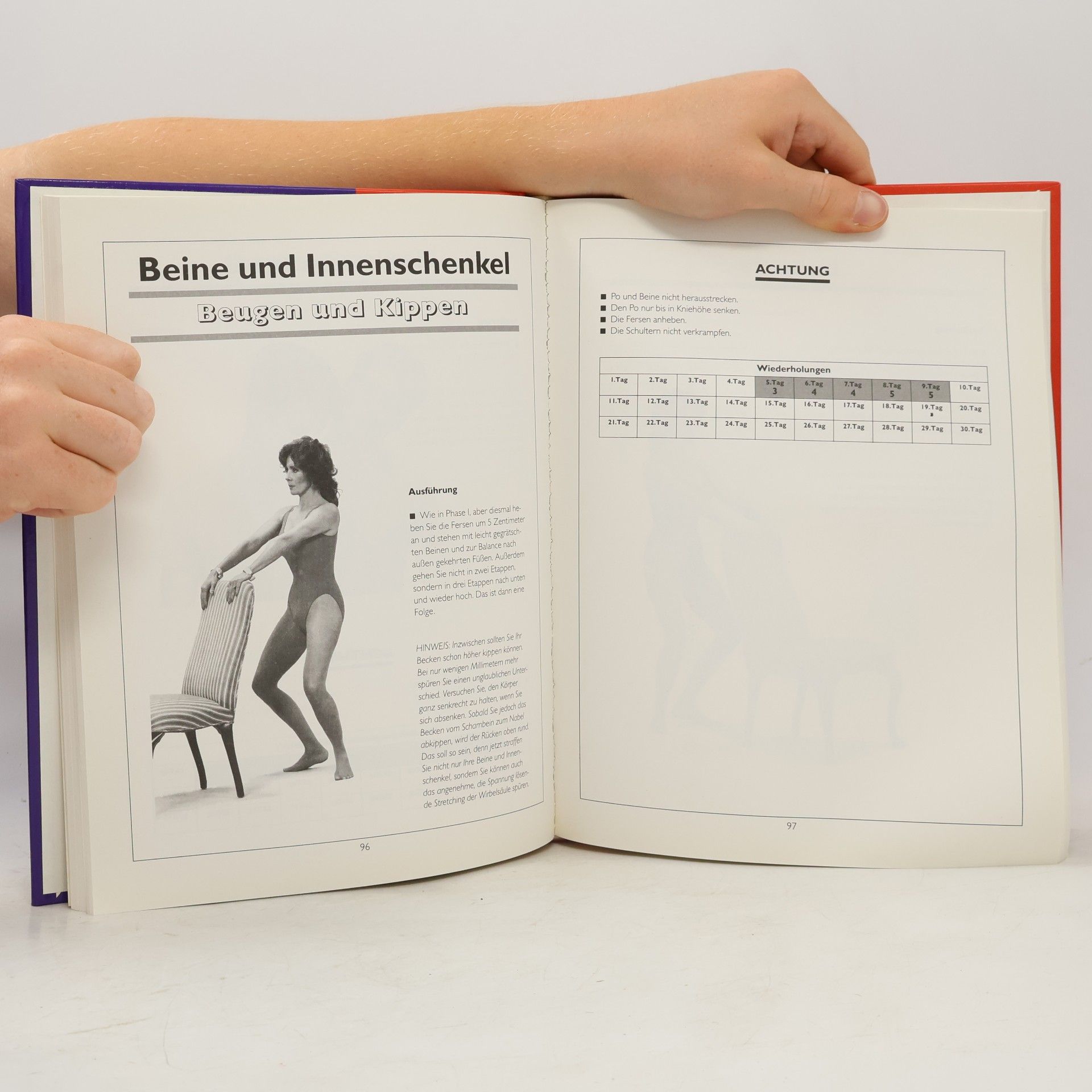 Callan Pinckney Das grosse Handbuch Callanetics