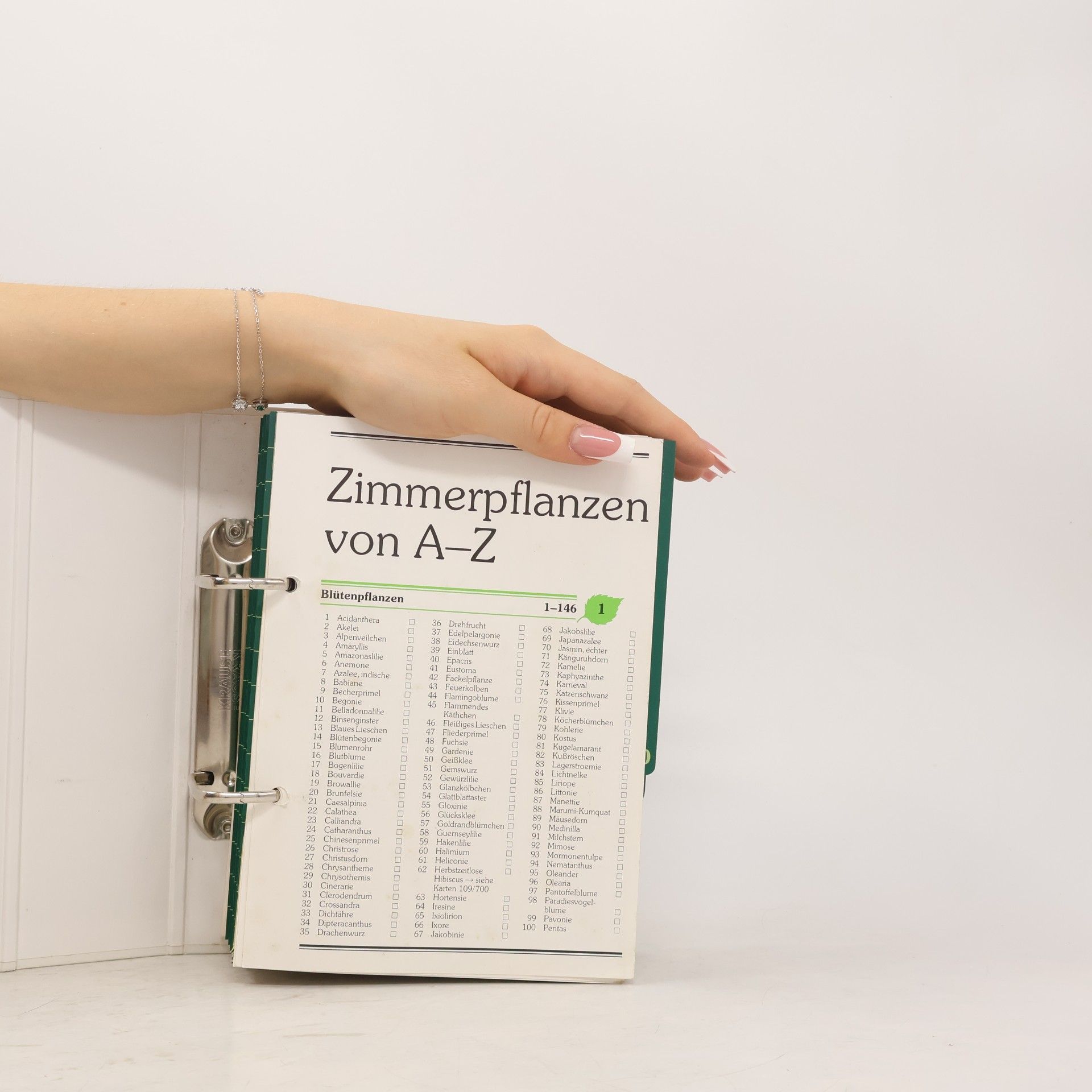 Autores varios Zimmerpflanzen von A-Z