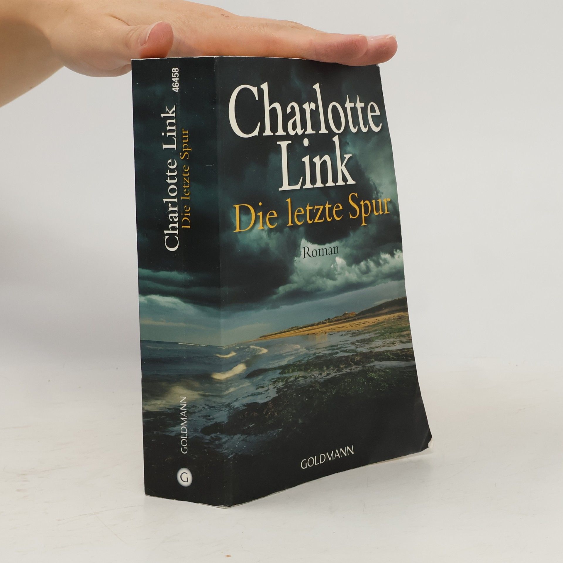Charlotte Link Die letzte Spur