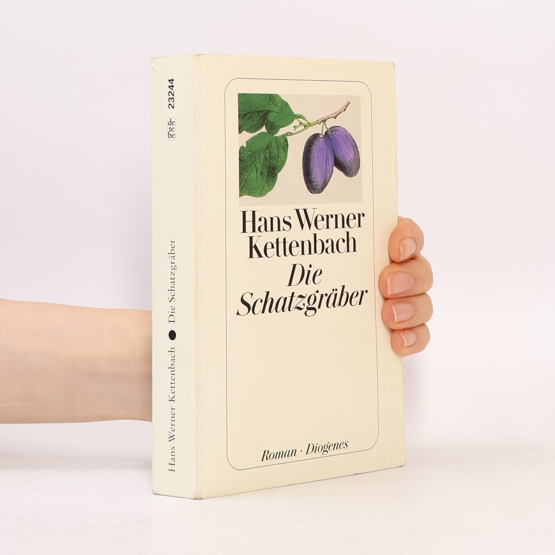 Hans Werner Kettenbach Die Schatzgräber