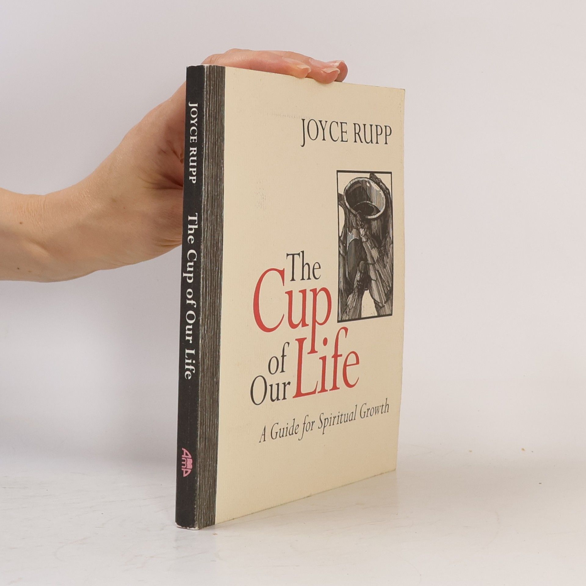 Jane Pitz The Cup of Our Life