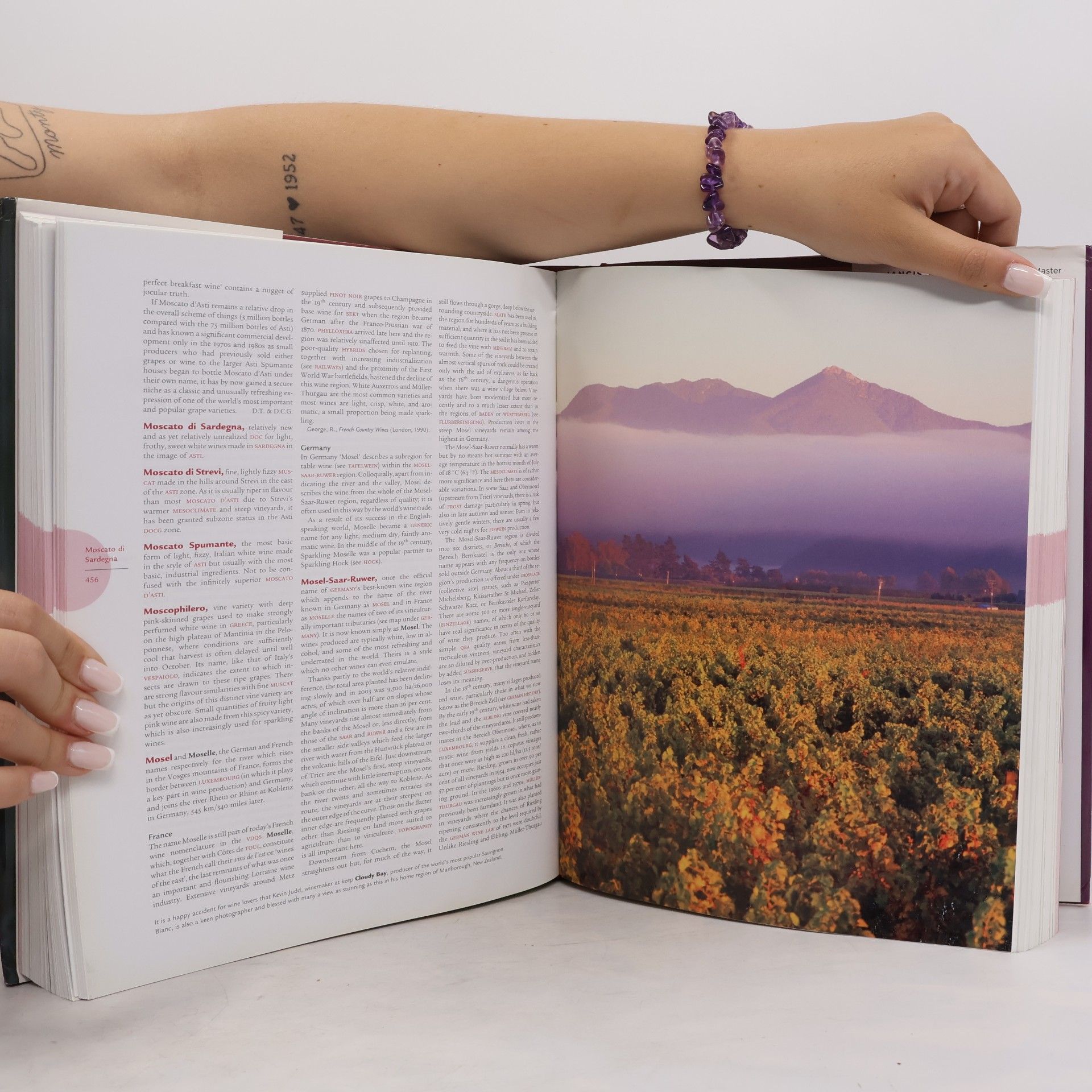 Jancis Robinson The Oxford Companion to Wine - Third Edition