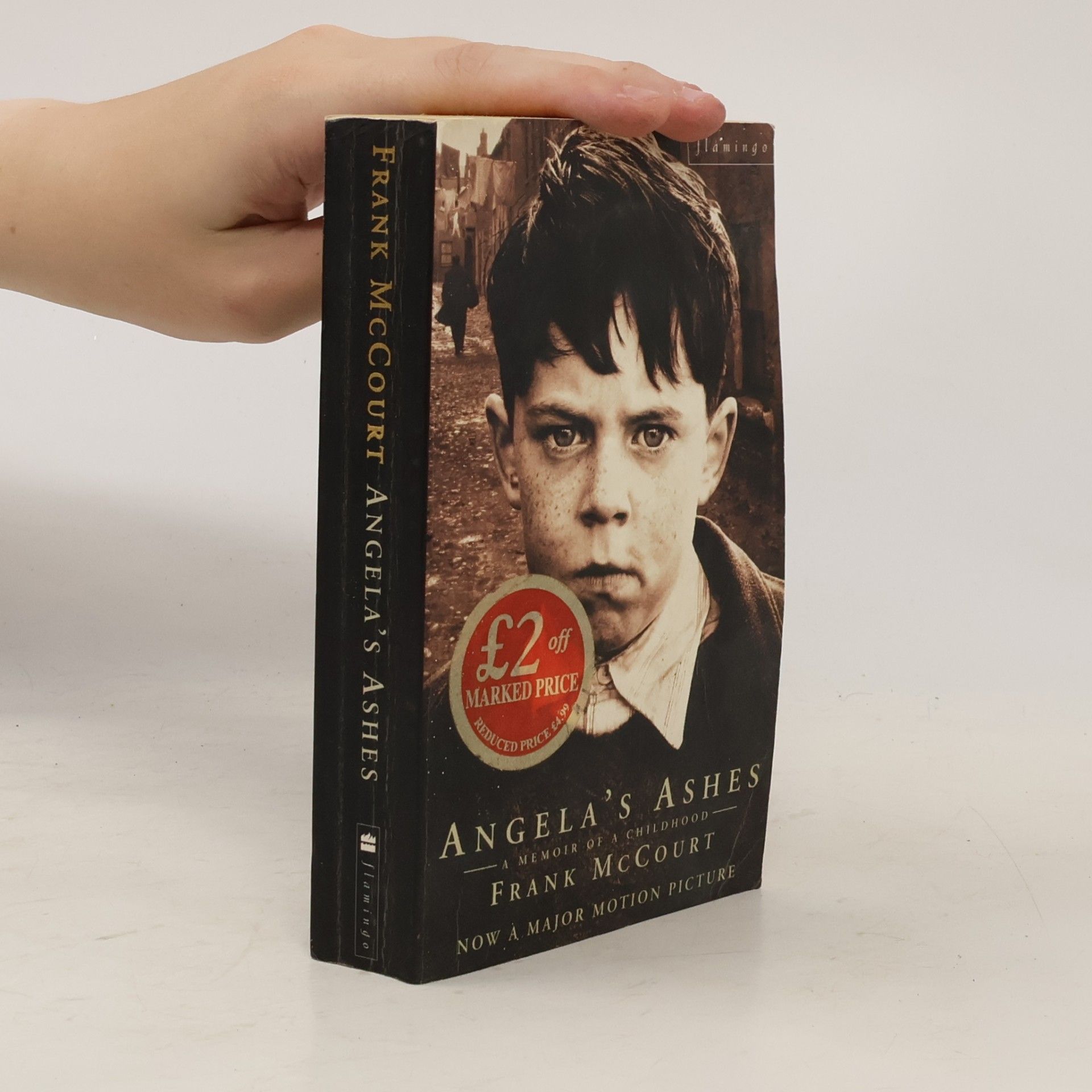 Frank McCourt Angela's Ashes