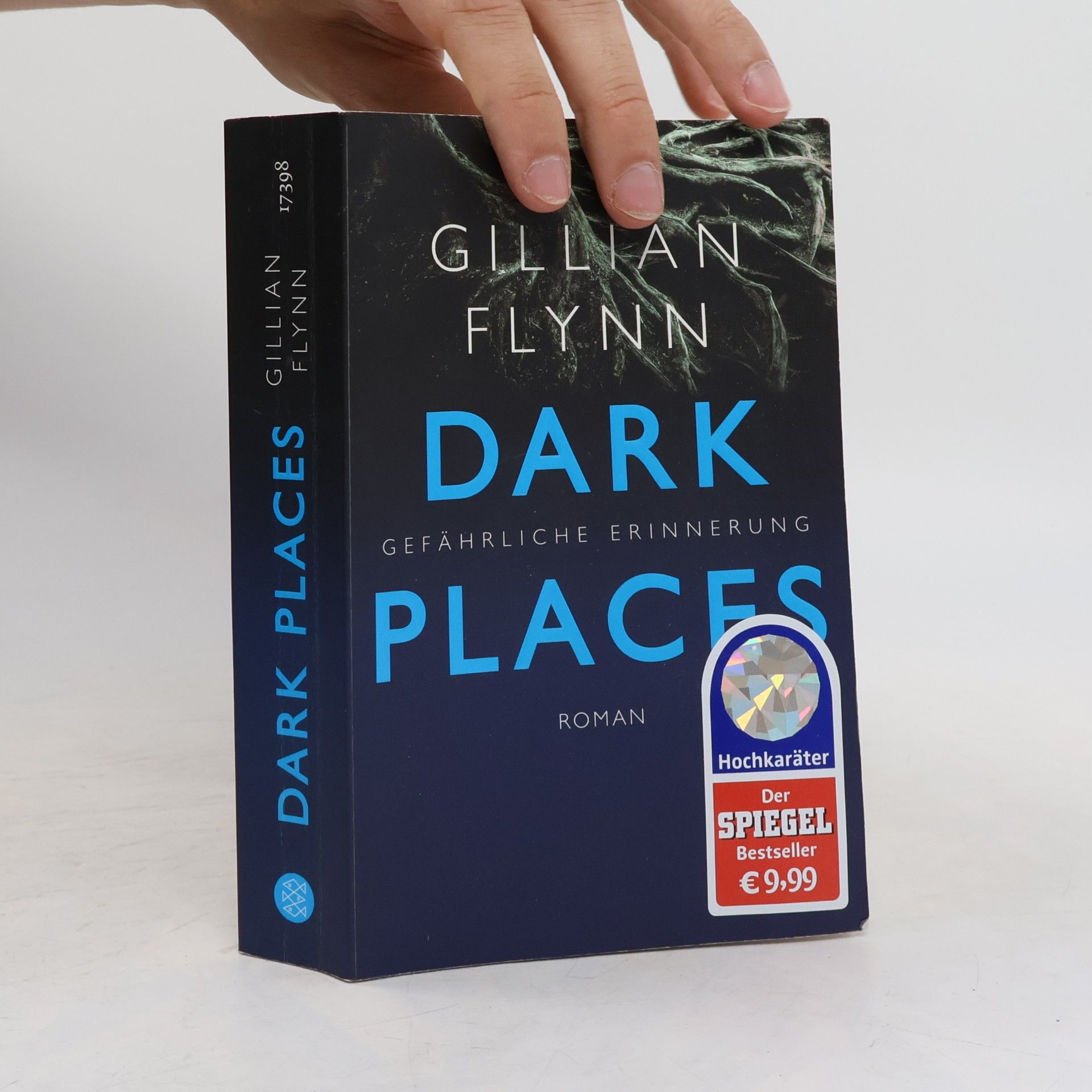Gillian Flynn Dark Places - Gefährliche Erinnerung