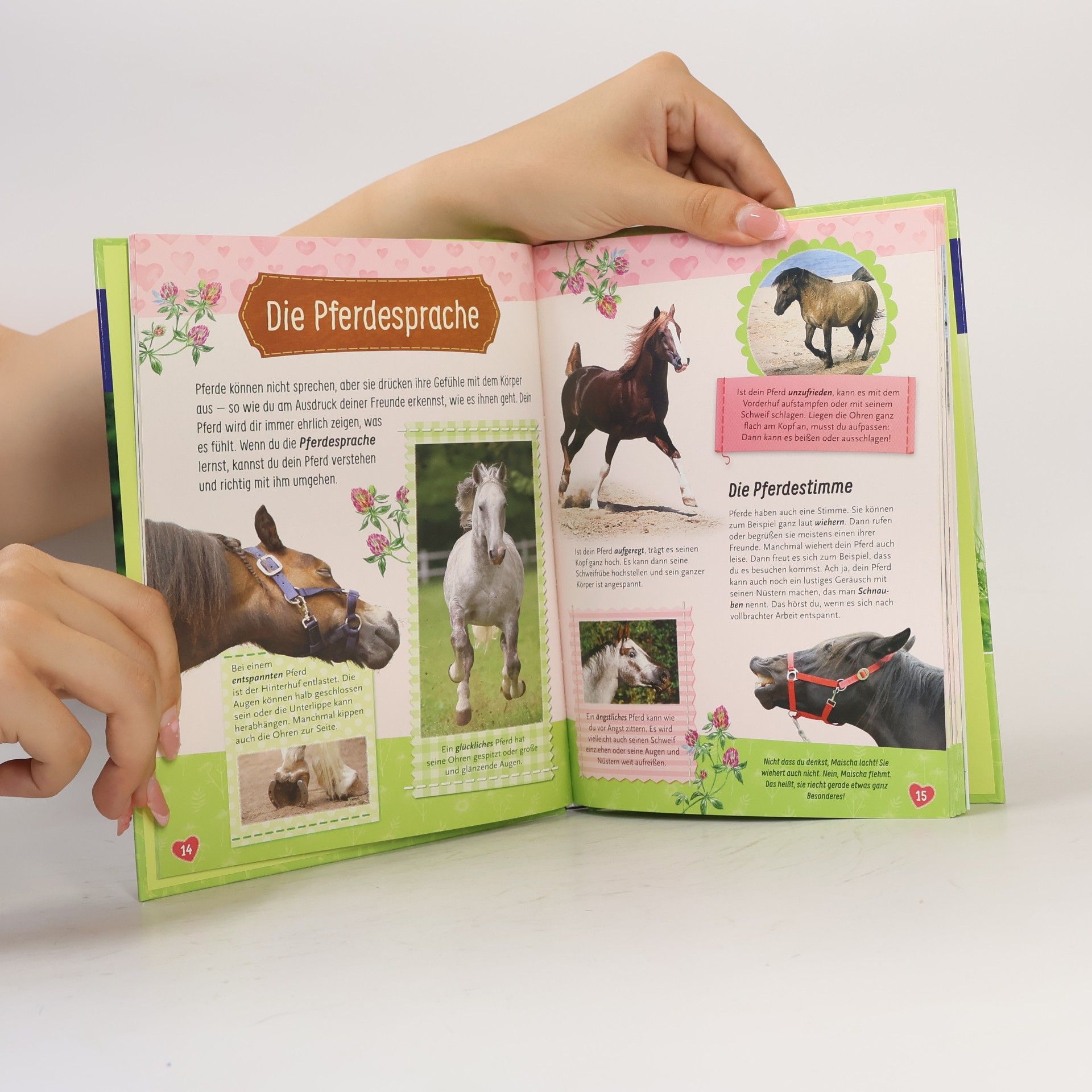 Judith Kern Ich lerne Reiten