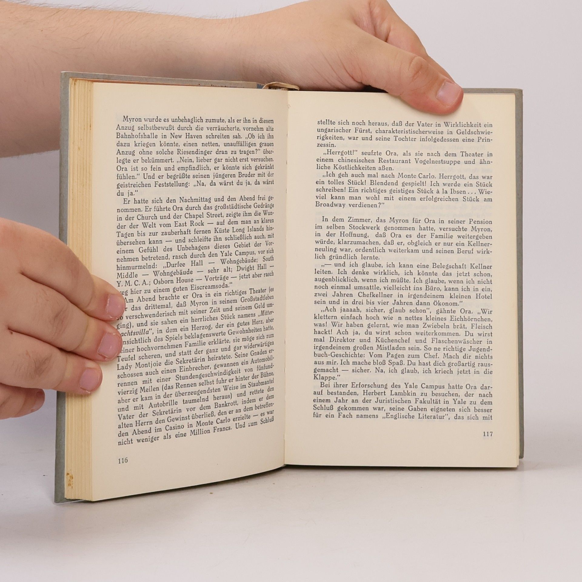 Sinclair Lewis Das Kunstwerk