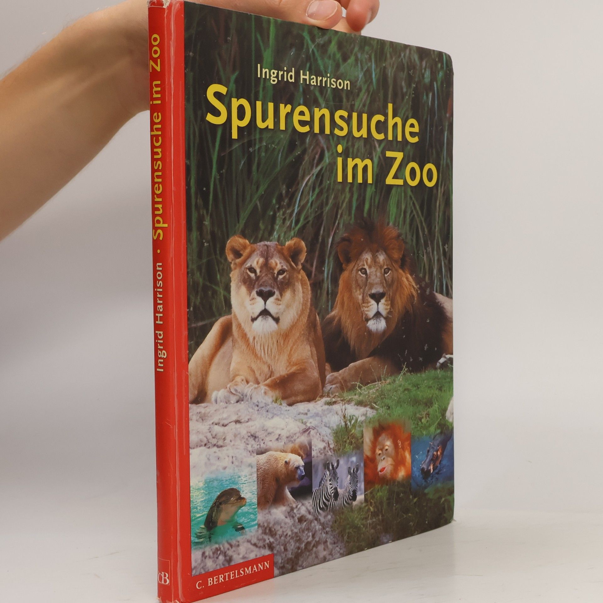 Ingrid Harrison Spurensuche im Zoo.