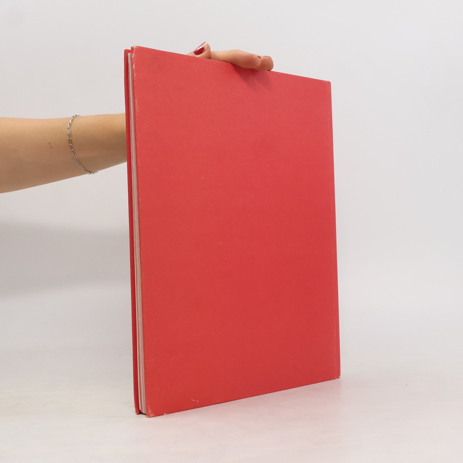 Maria Blumrich Burda-Strick-Lehrbuch