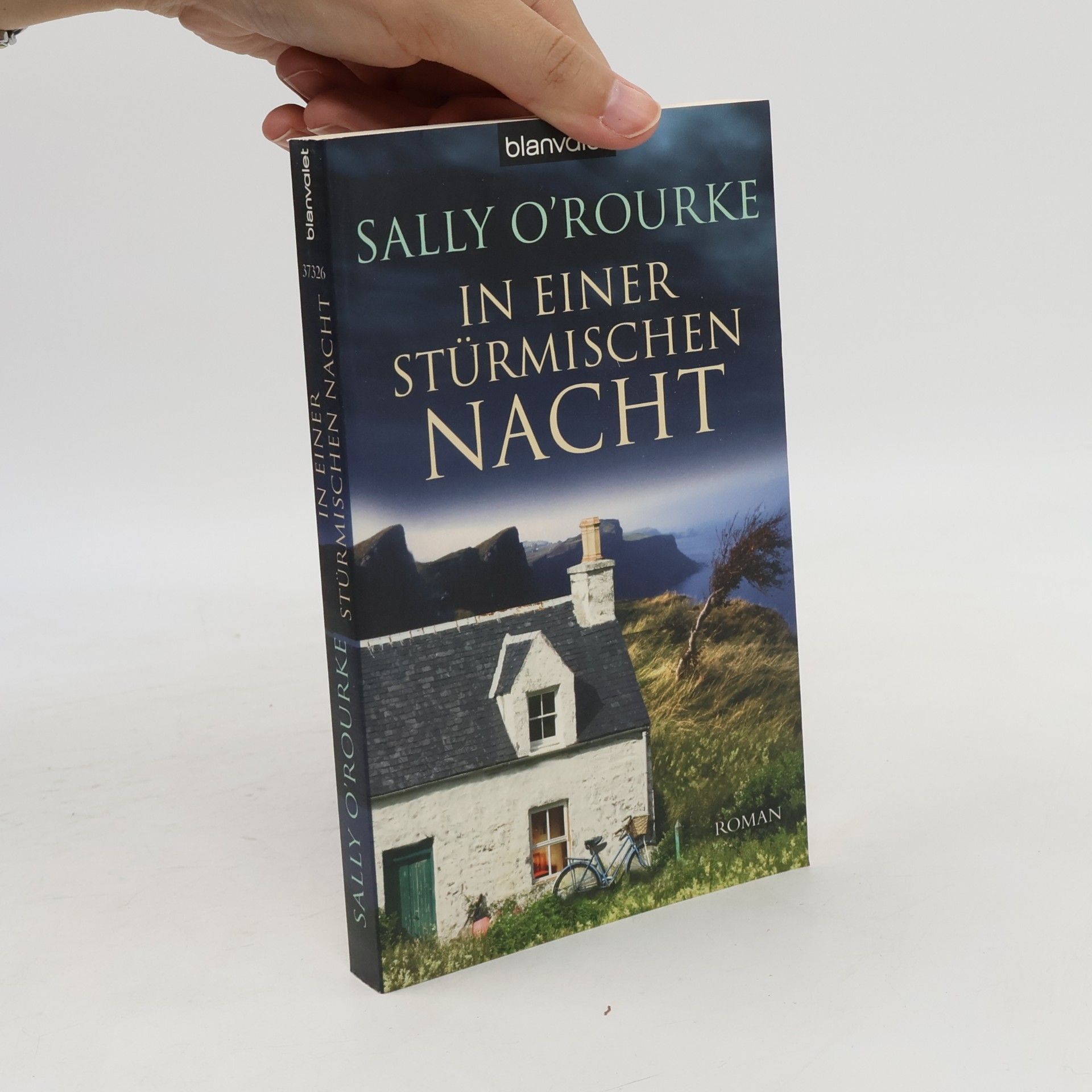 Sally Smith O'Rourke In einer stürmischen Nacht