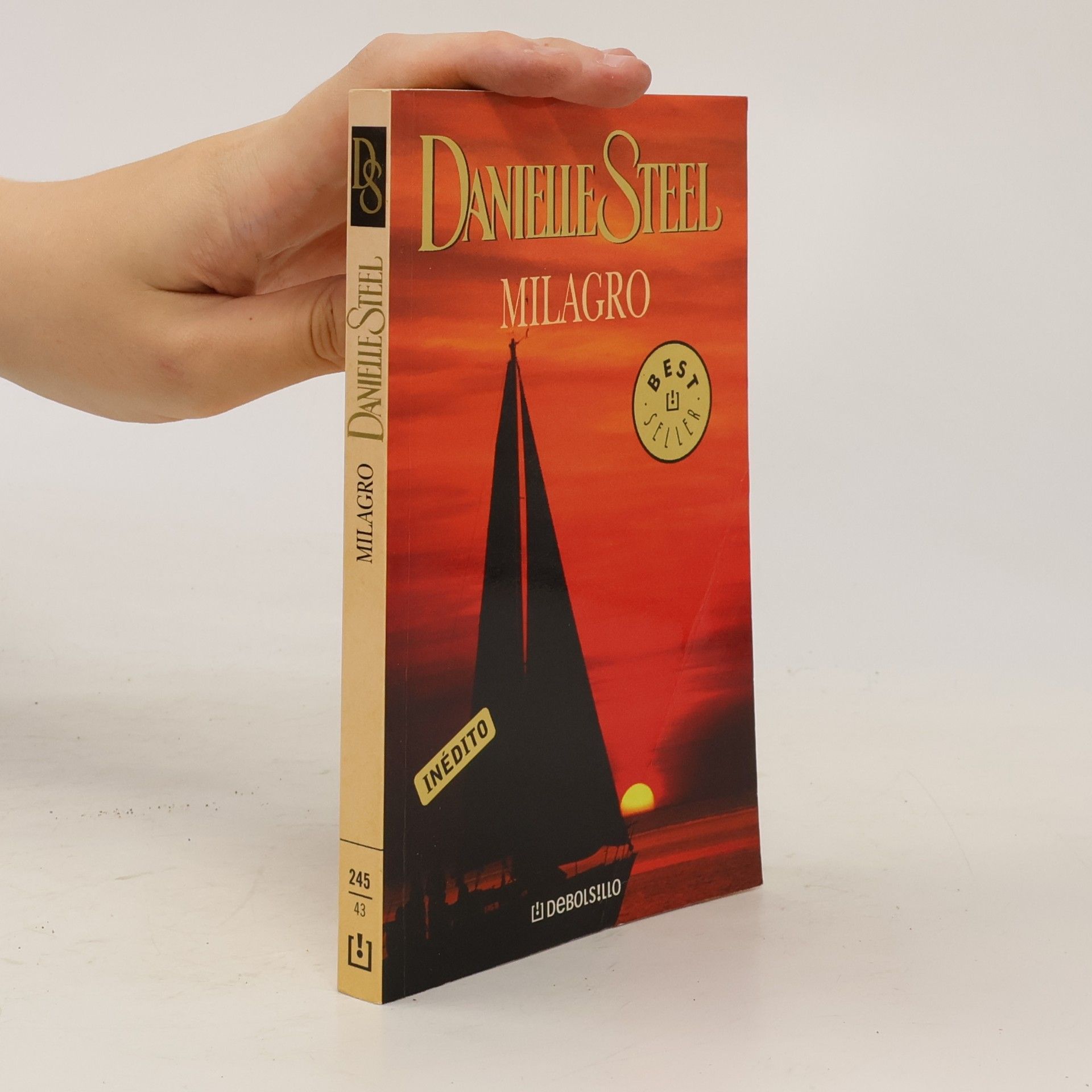 Danielle Steel Milagro