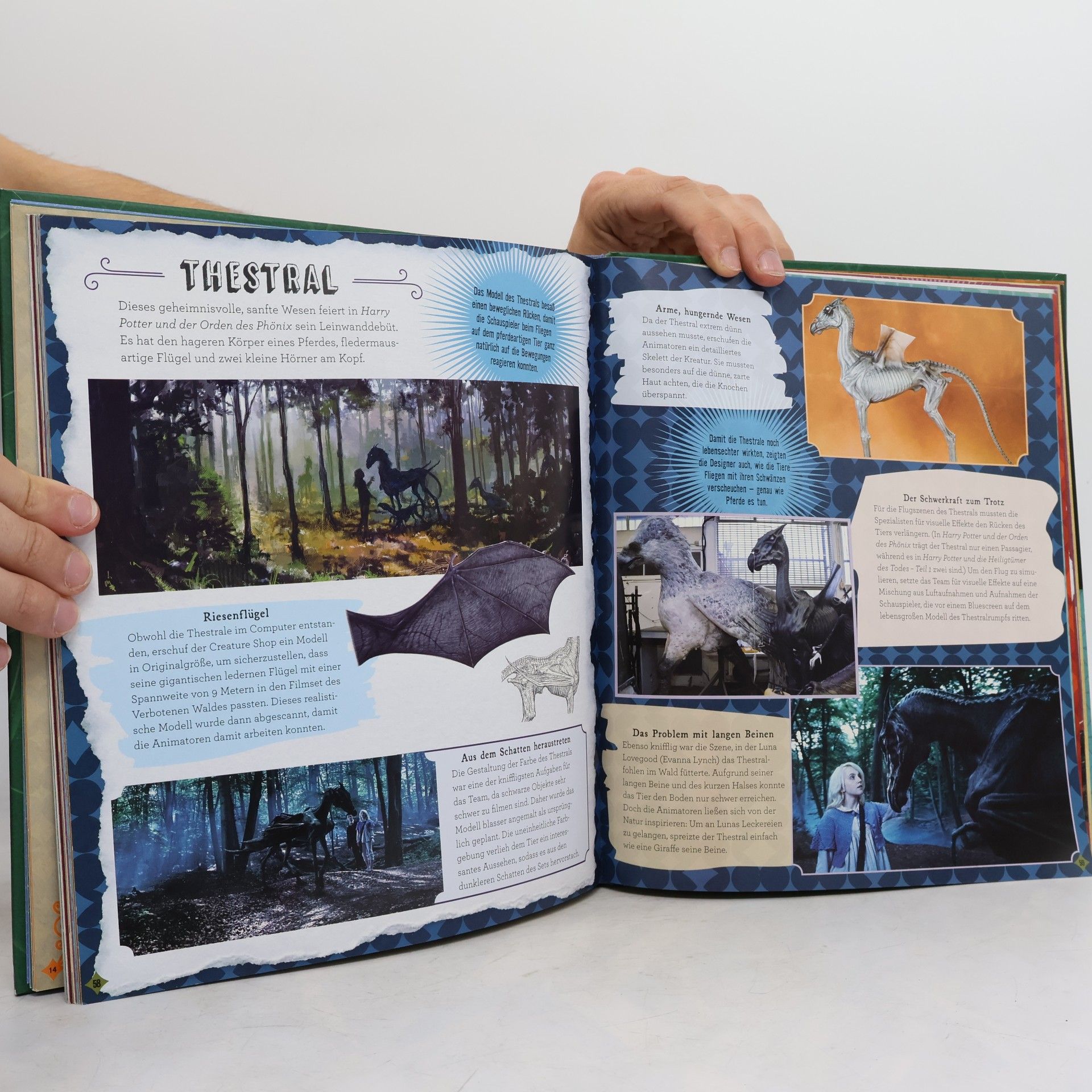 J. K. Rowling J.K. Rowling's Wizarding World™ - 2: Phantastische Wesen aus den Filmen