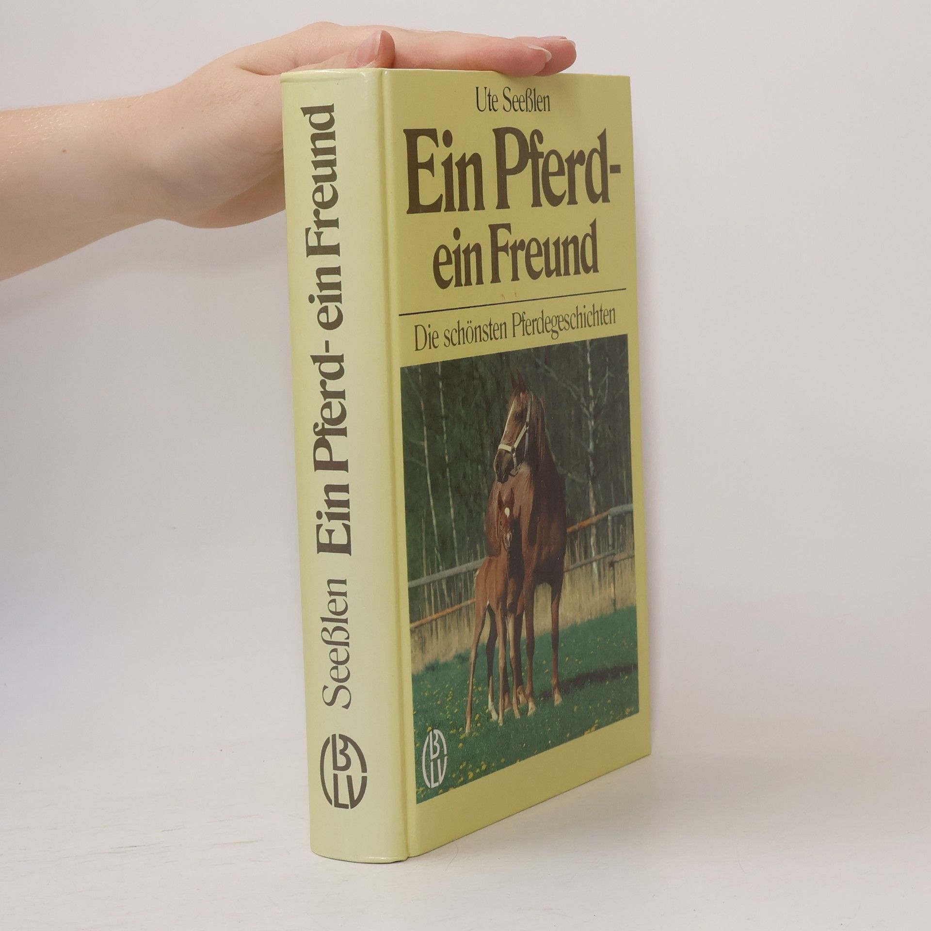 Ute Seesslen Ein Pferd, ein Freund