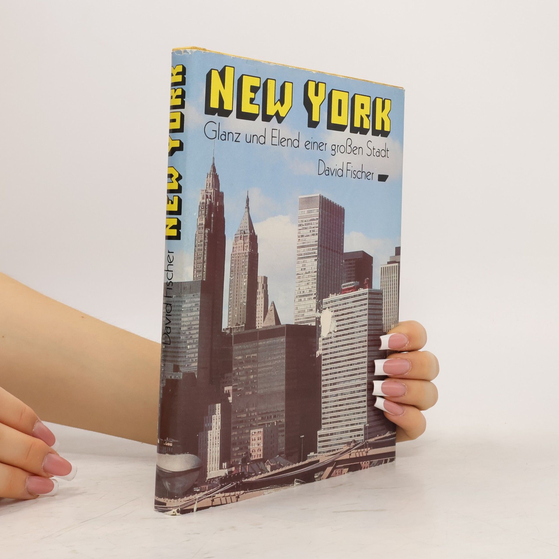 New York : Glanz und Elend einer großen Stadt