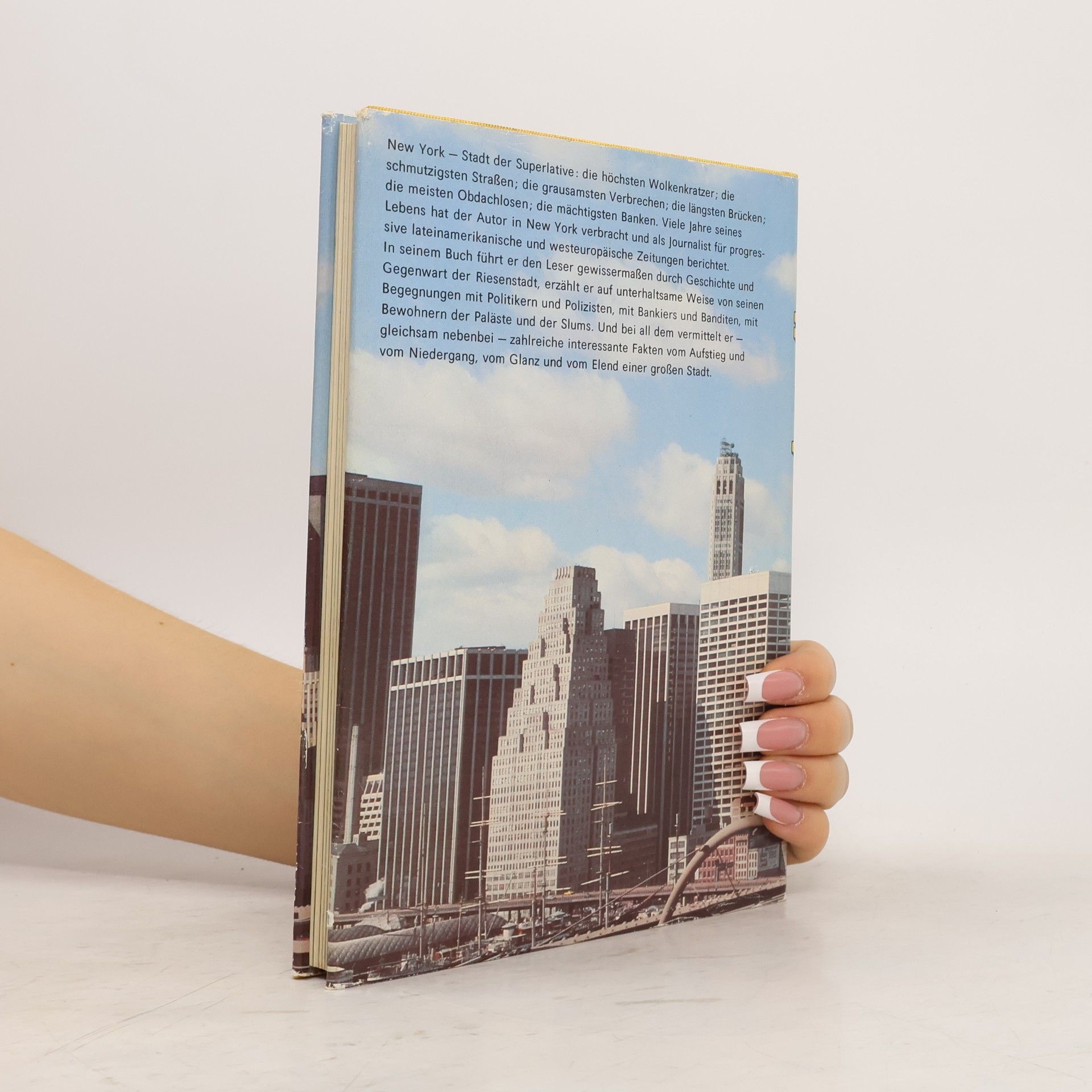 David Hackett Fischer New York : Glanz und Elend einer großen Stadt