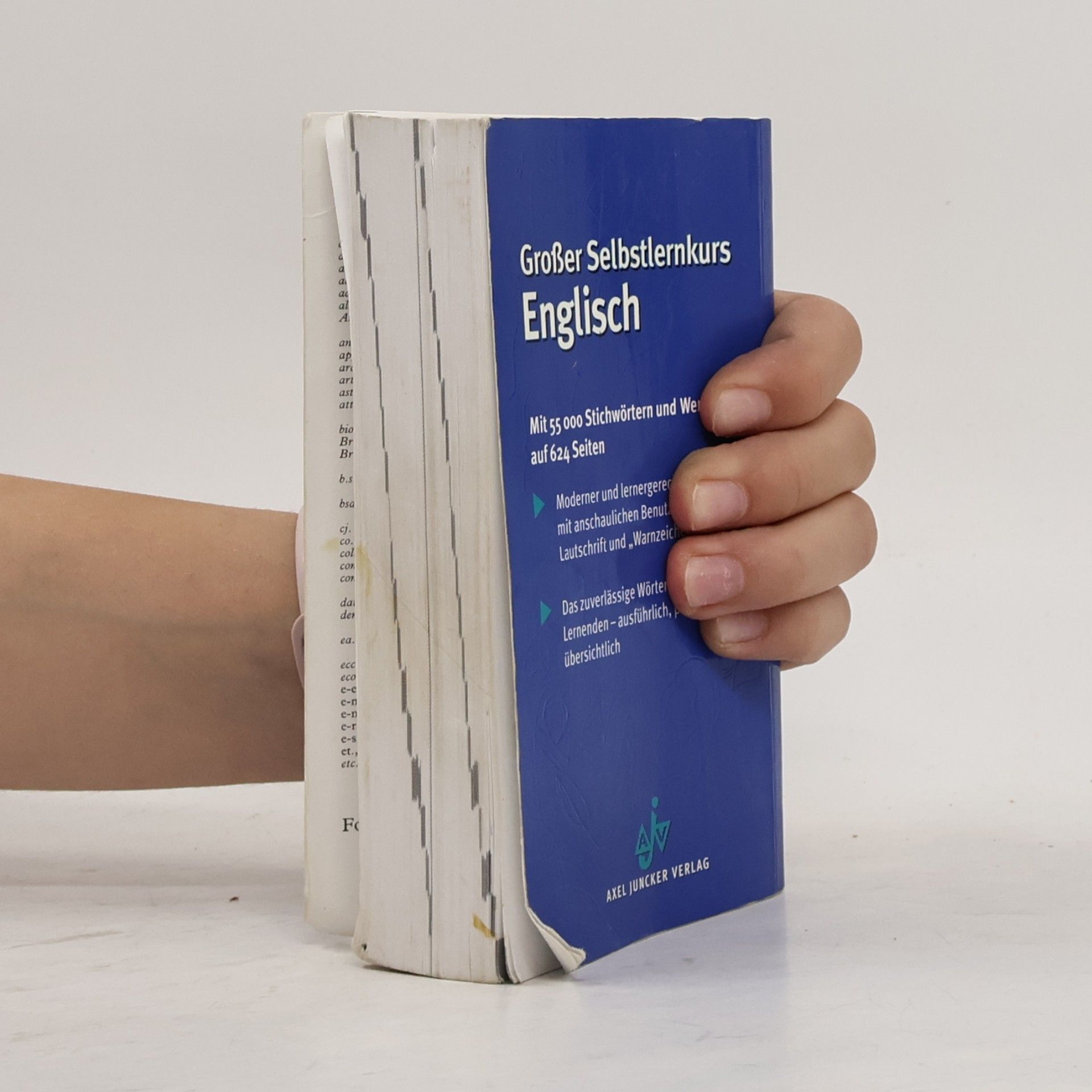AA.VV. Großer Selbstlernkurs Englisch