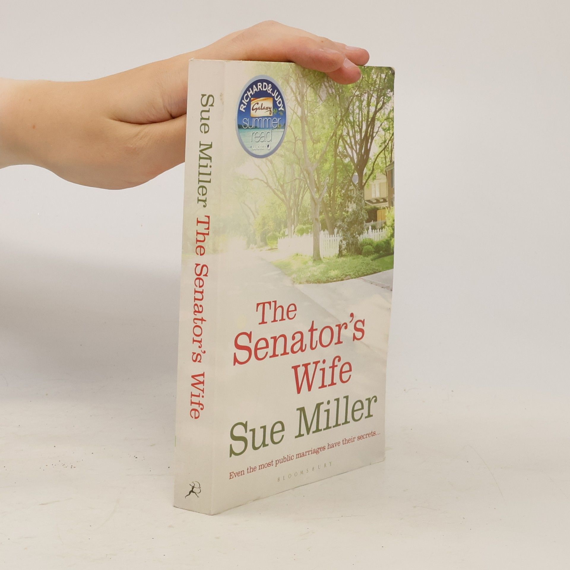 Sue Miller The Senator's Wife