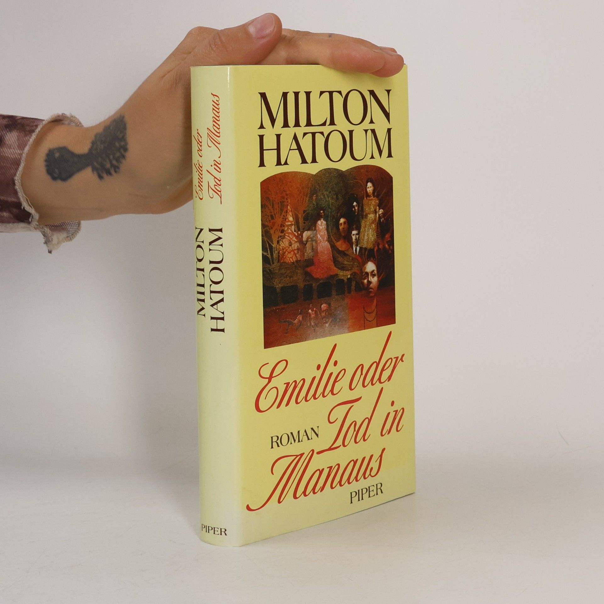 Milton Hatoum Emilie oder Tod in Manaus