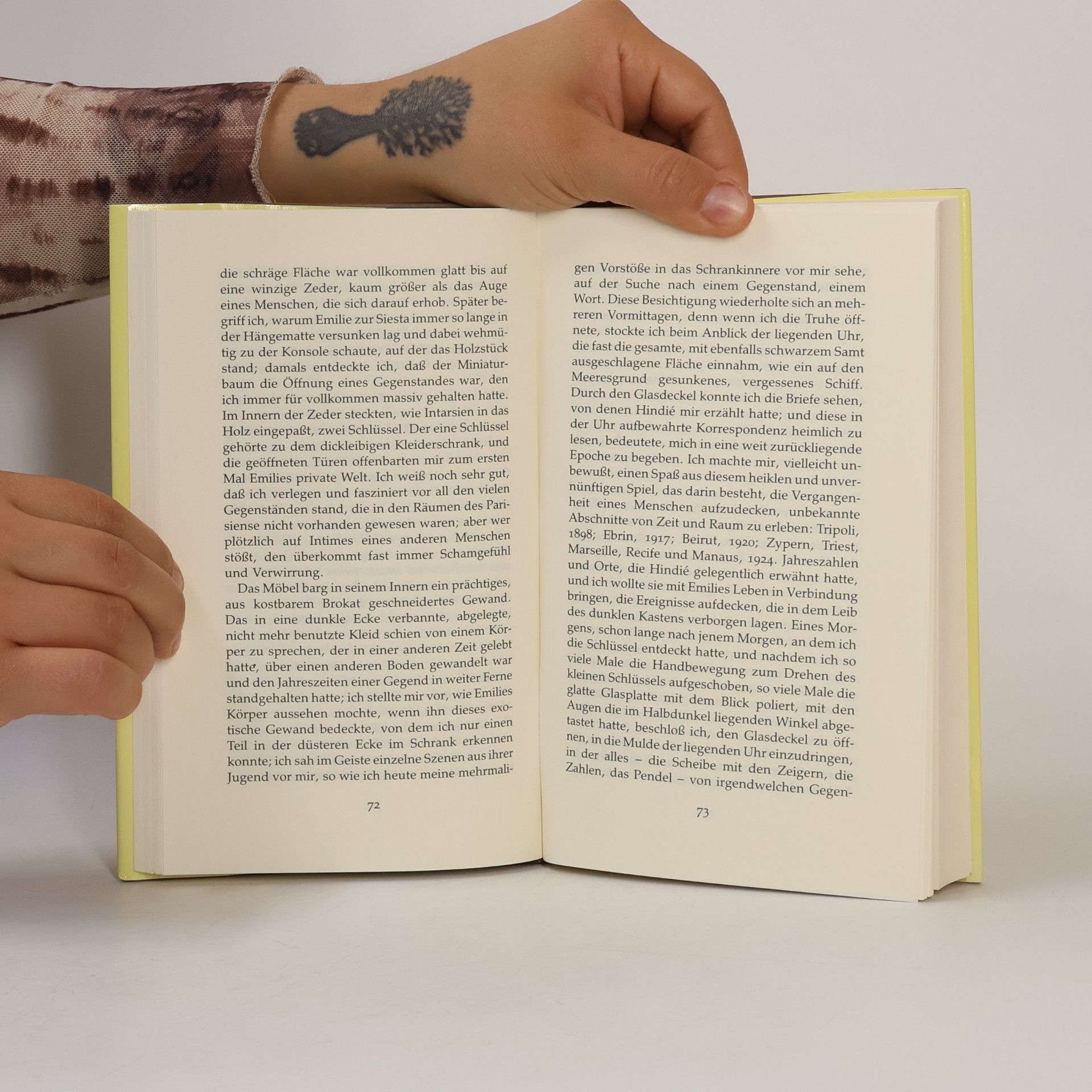 Milton Hatoum Emilie oder Tod in Manaus
