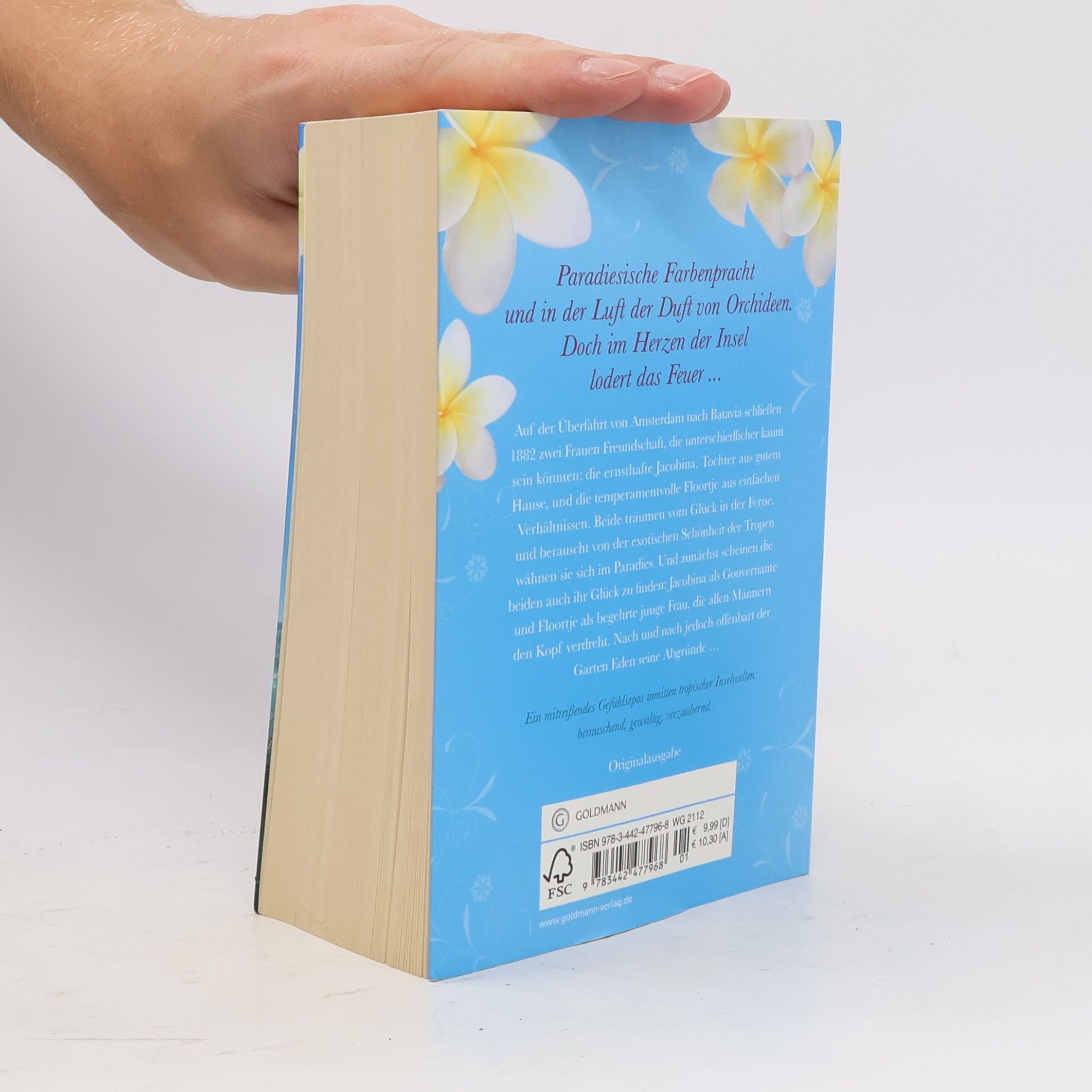 Nicole C. Vosseler Das Herz der Feuerinsel
