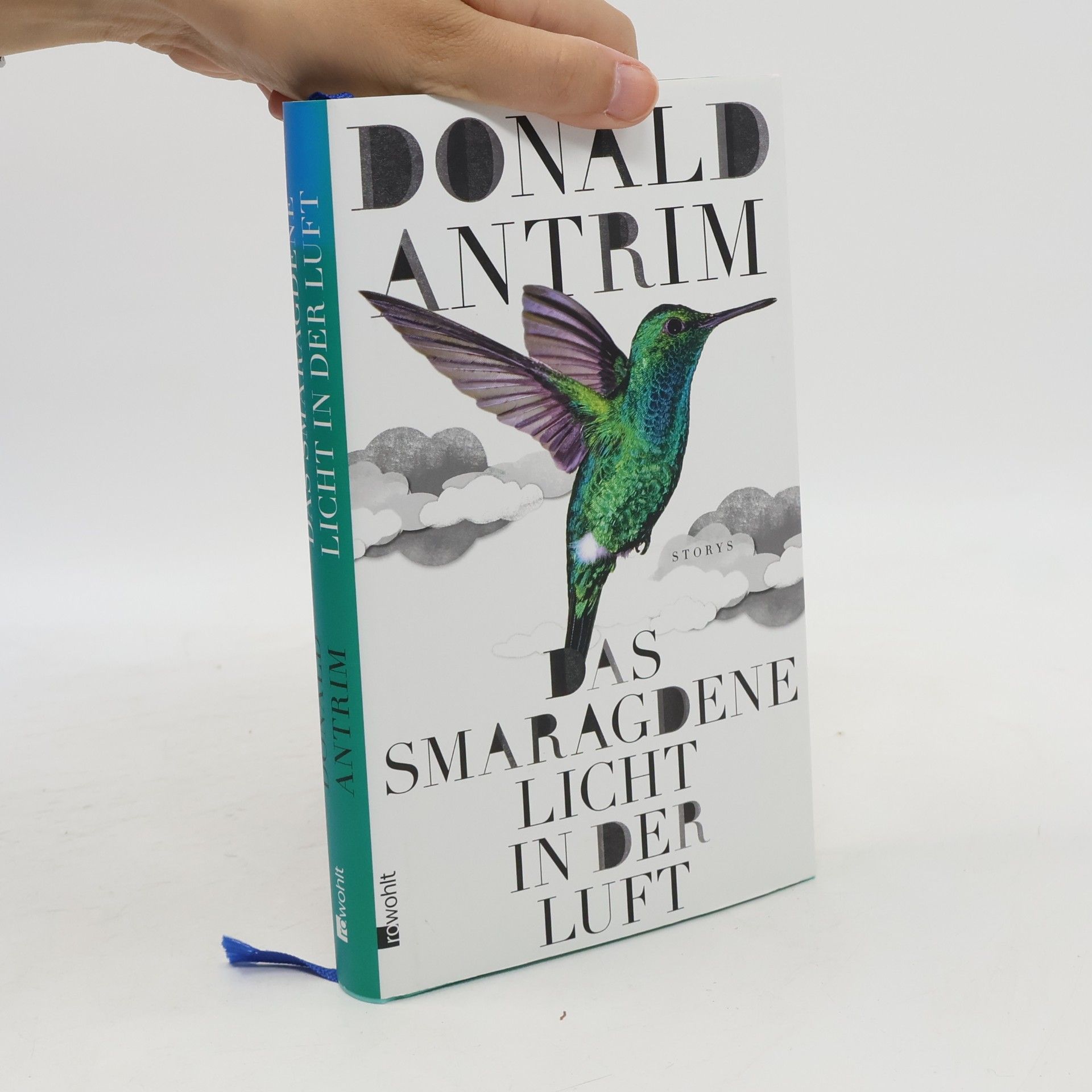 Donald Antrim Das smaragdene Licht in der Luft
