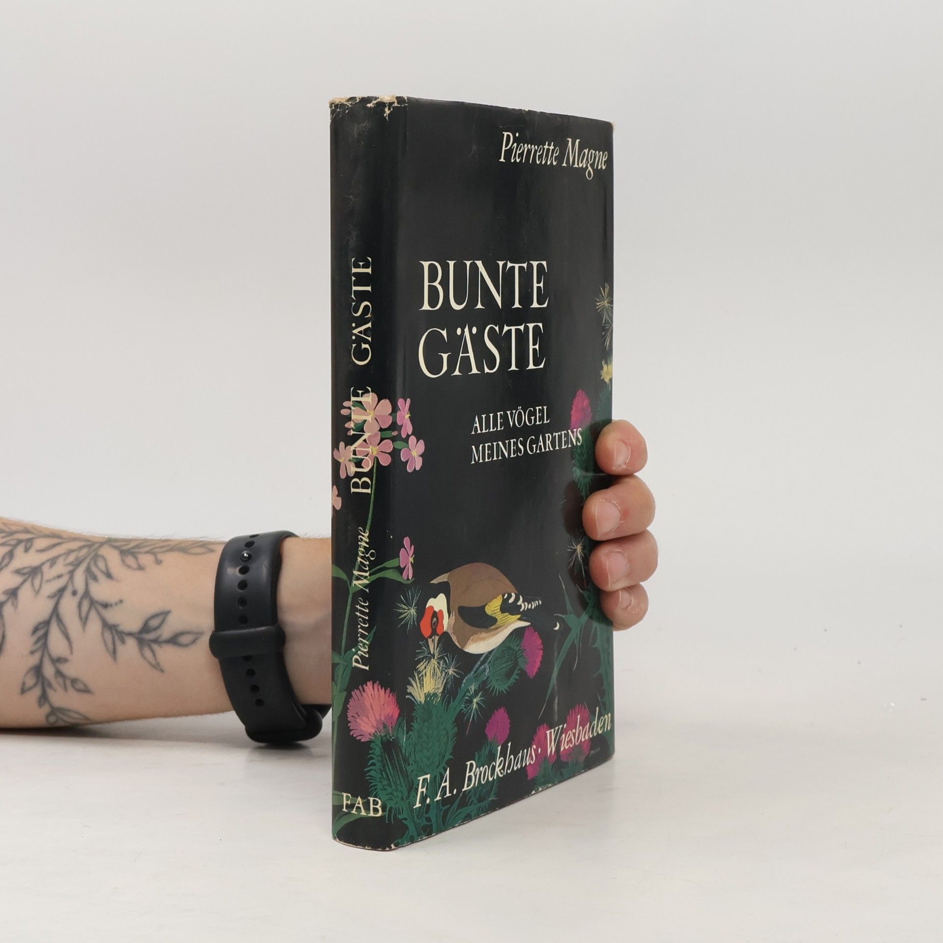 Pierrette Magne Bunte Gäste