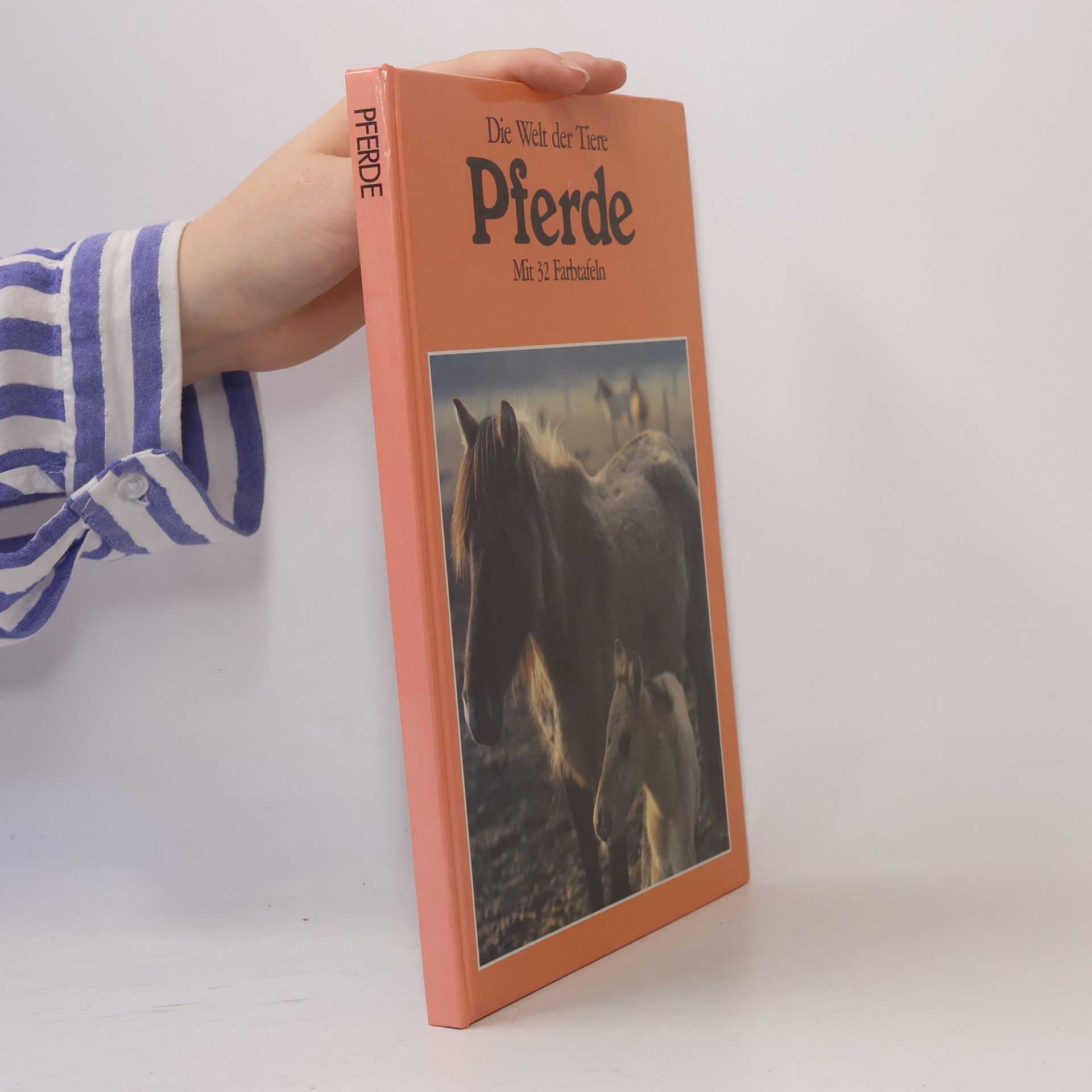 Autorenkollektiv Die Welt der Tiere. Pferde