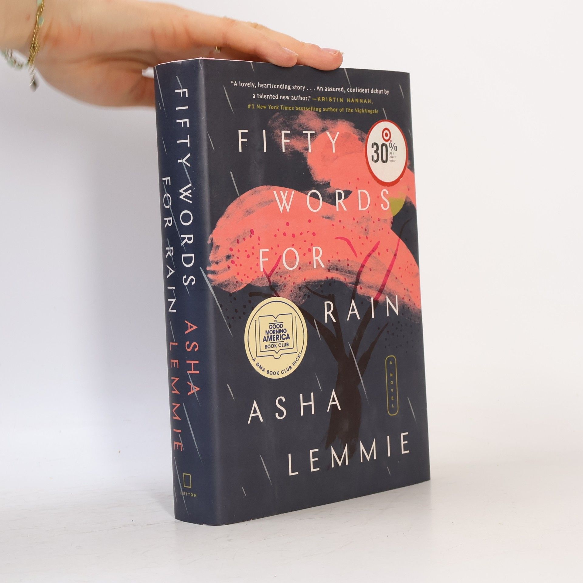 Asha Lemmie Fifty Words for Rain