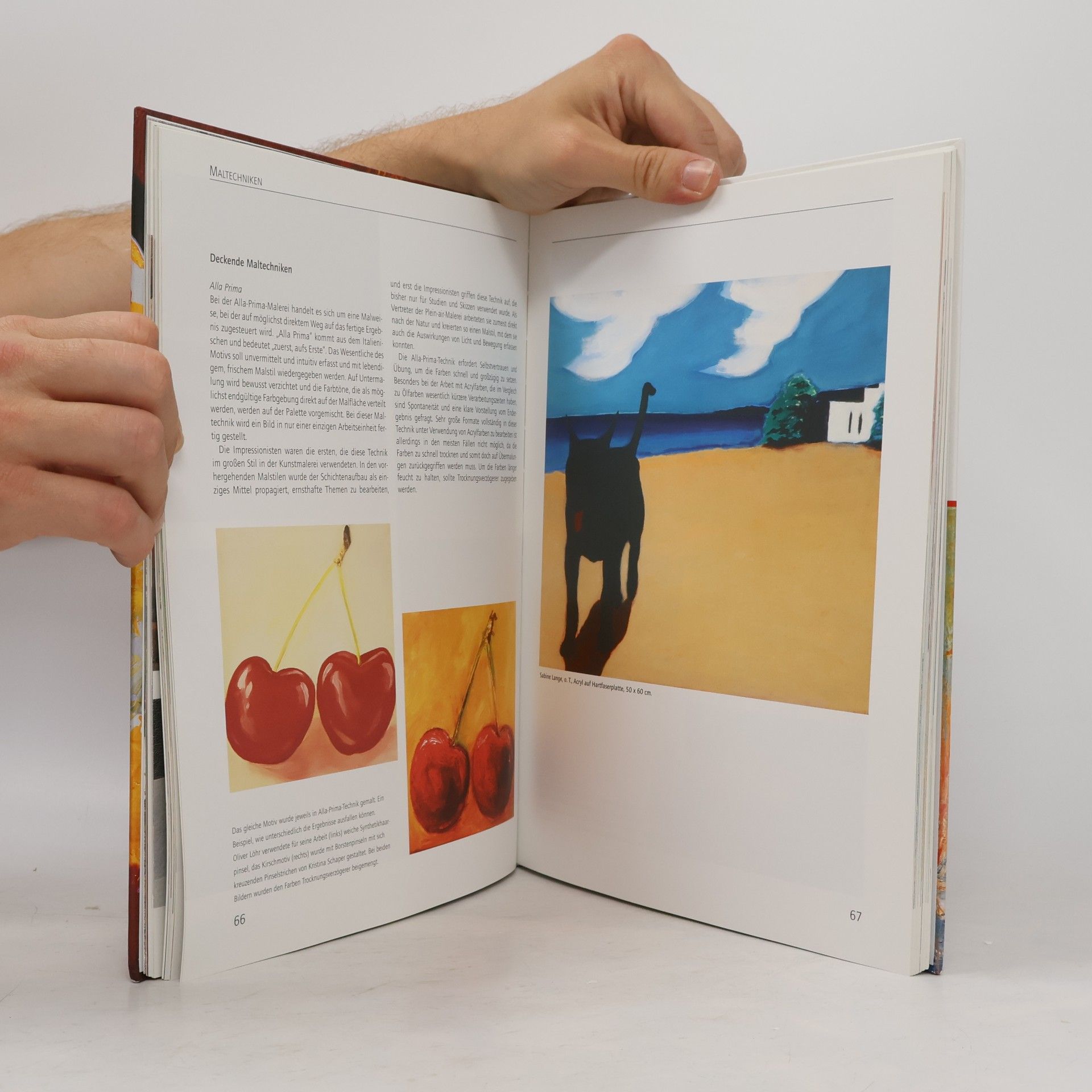 Kristina Schaper Das Handbuch der Acrylmalerei. Materialien, Techniken, Beispiele und Übungen