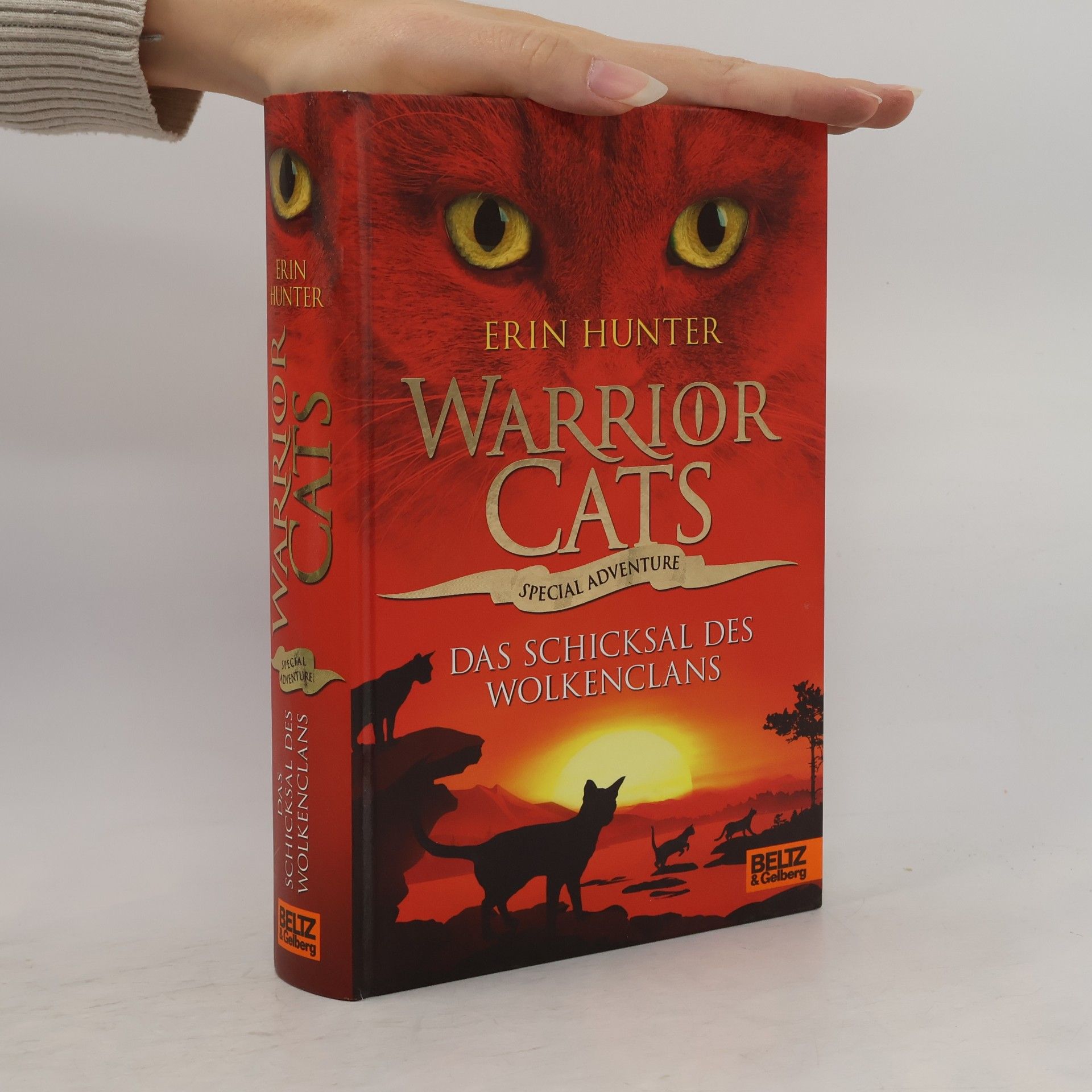 Erin Hunter Warrior Cats: Das Schicksal des WolkenClans
