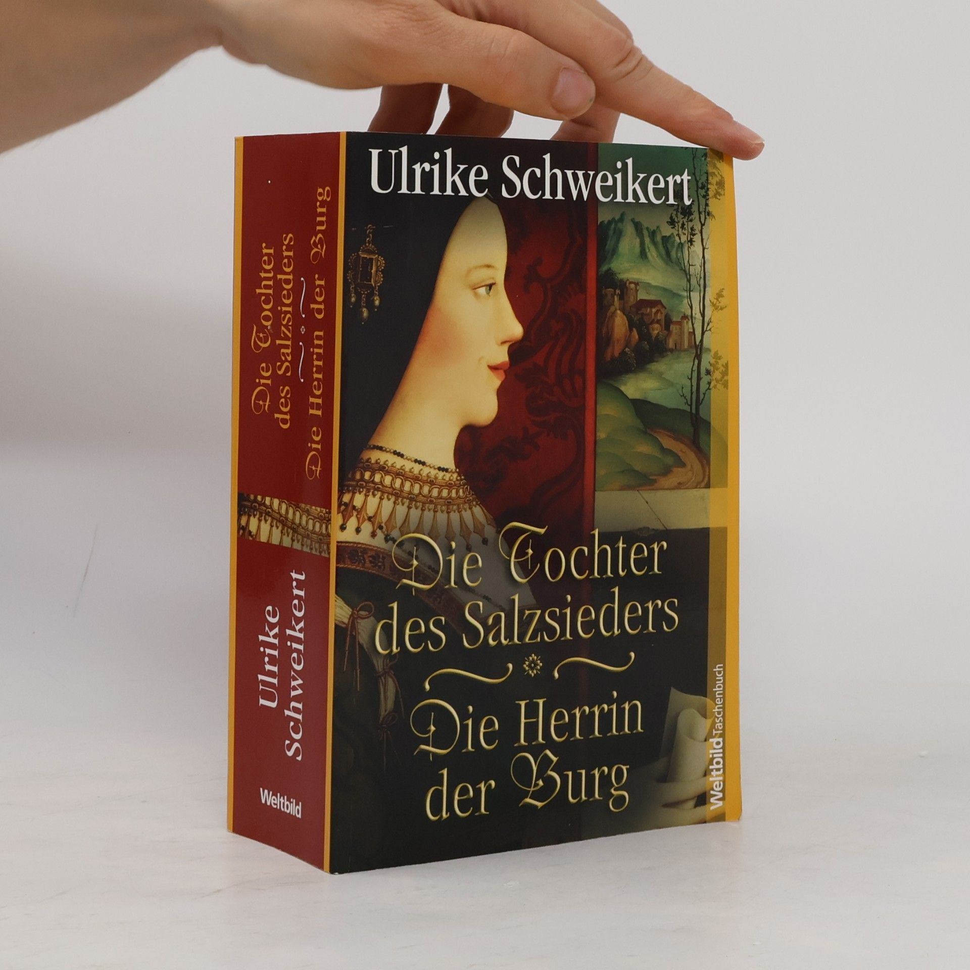 Ulrike Schweikert Die Tochter des Salzsieders