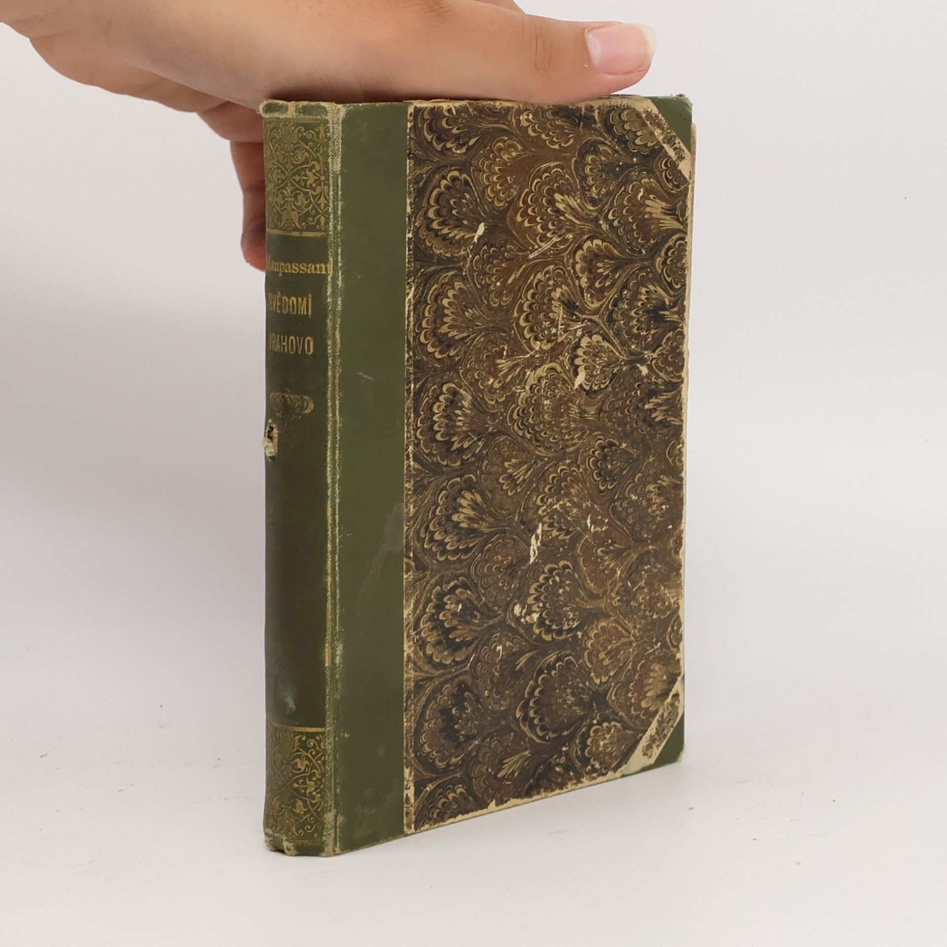 Guy de Maupassant Svědomí vrahovo