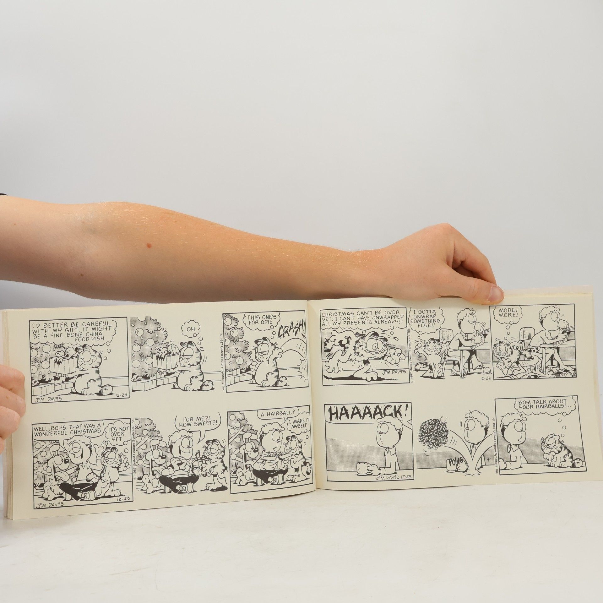 Jim Davis Garfield Landscape Books