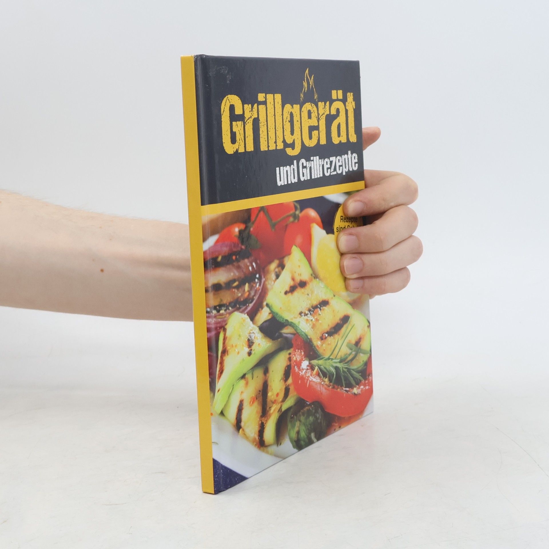Autorenkollektiv Grillgerät und Grillrezepte