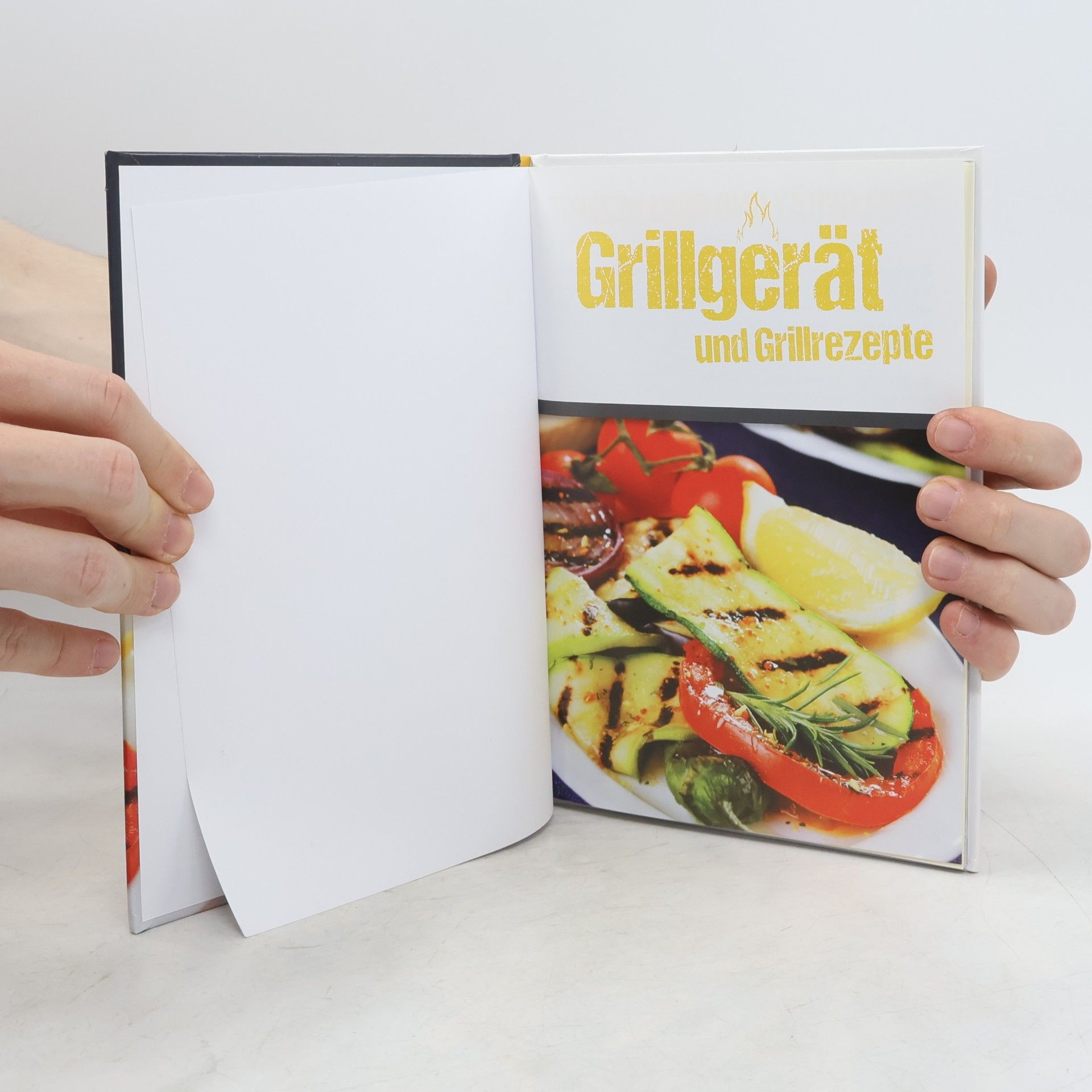 Autorenkollektiv Grillgerät und Grillrezepte