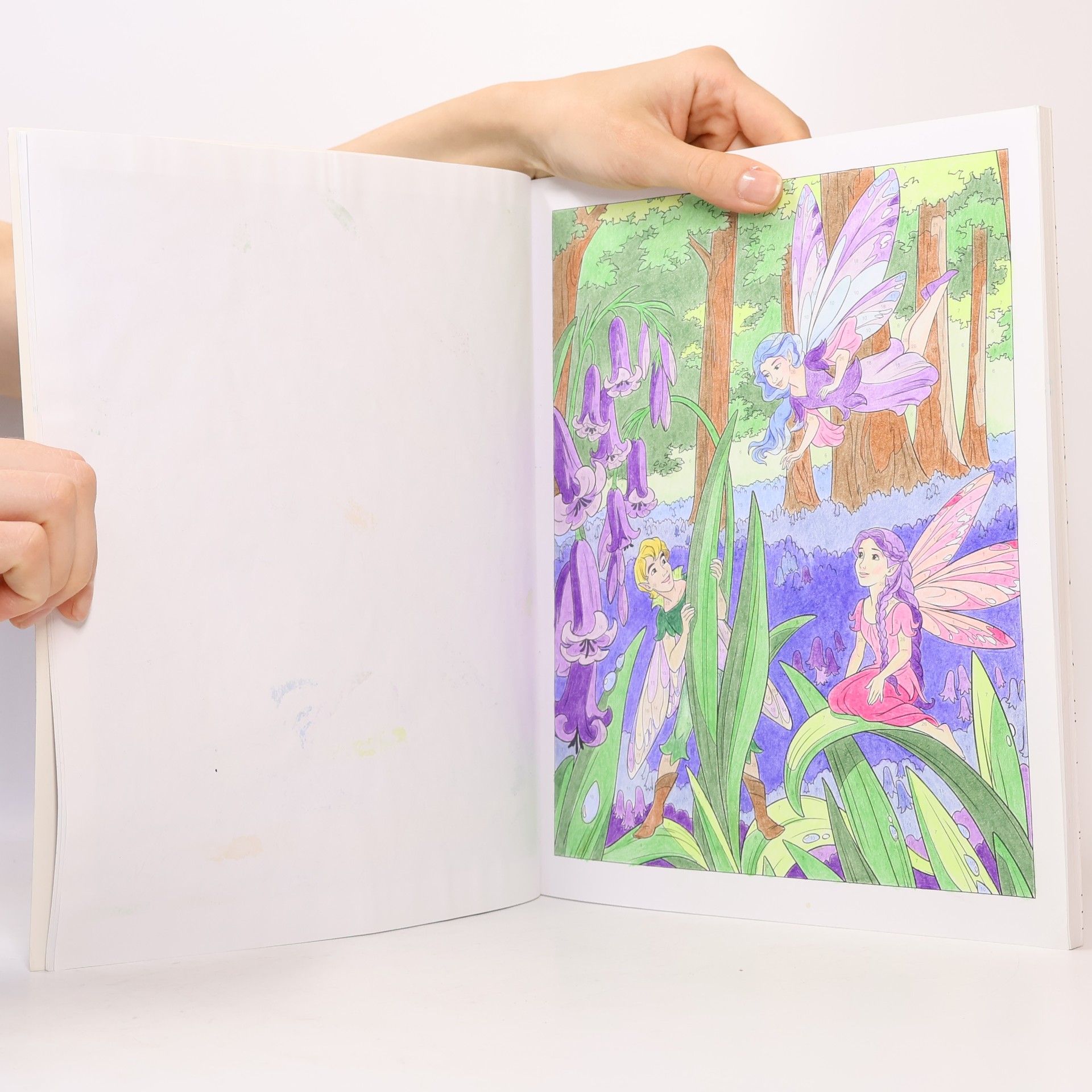 Nathalie Ortega Colour By Numbers Enchanted World
