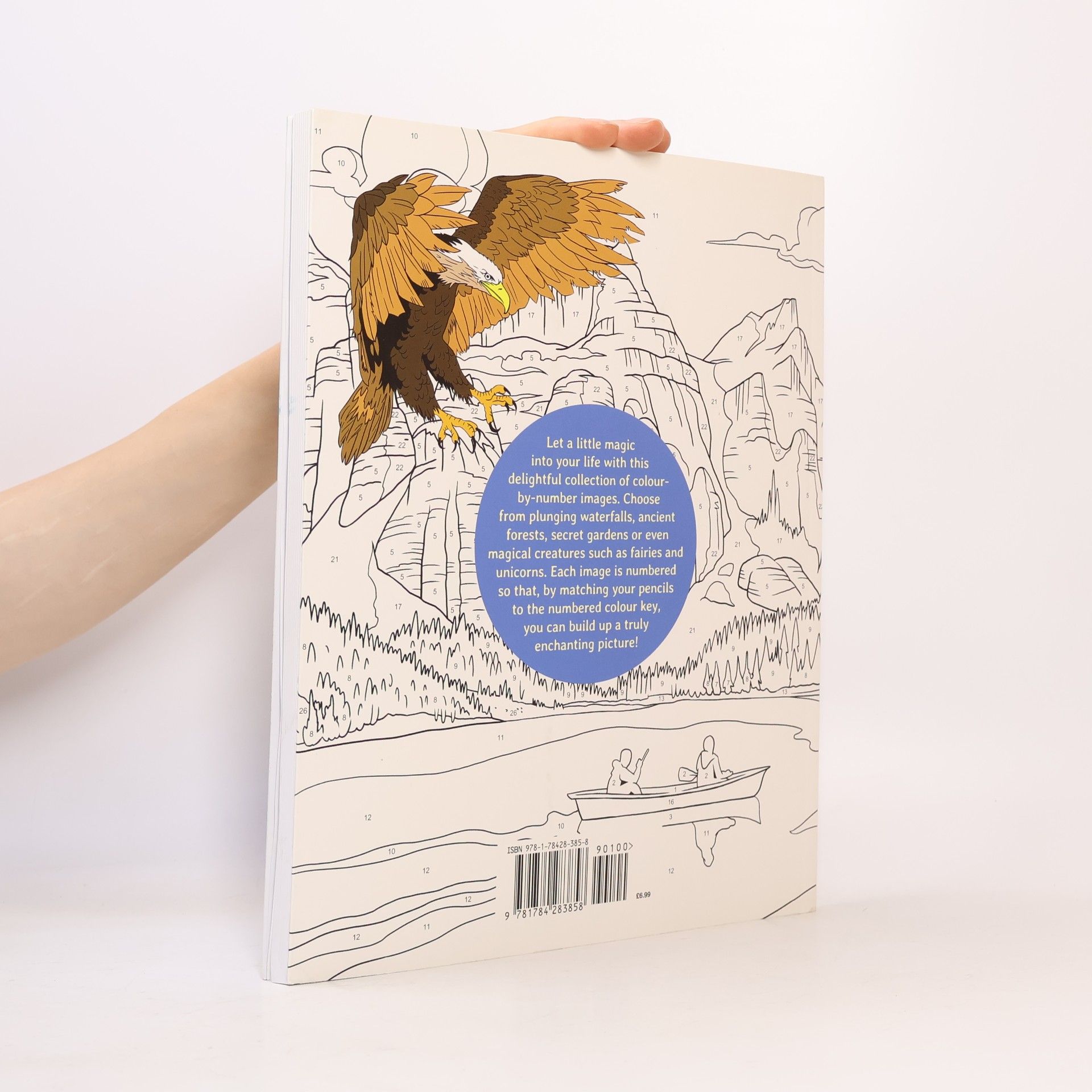 Nathalie Ortega Colour By Numbers Enchanted World