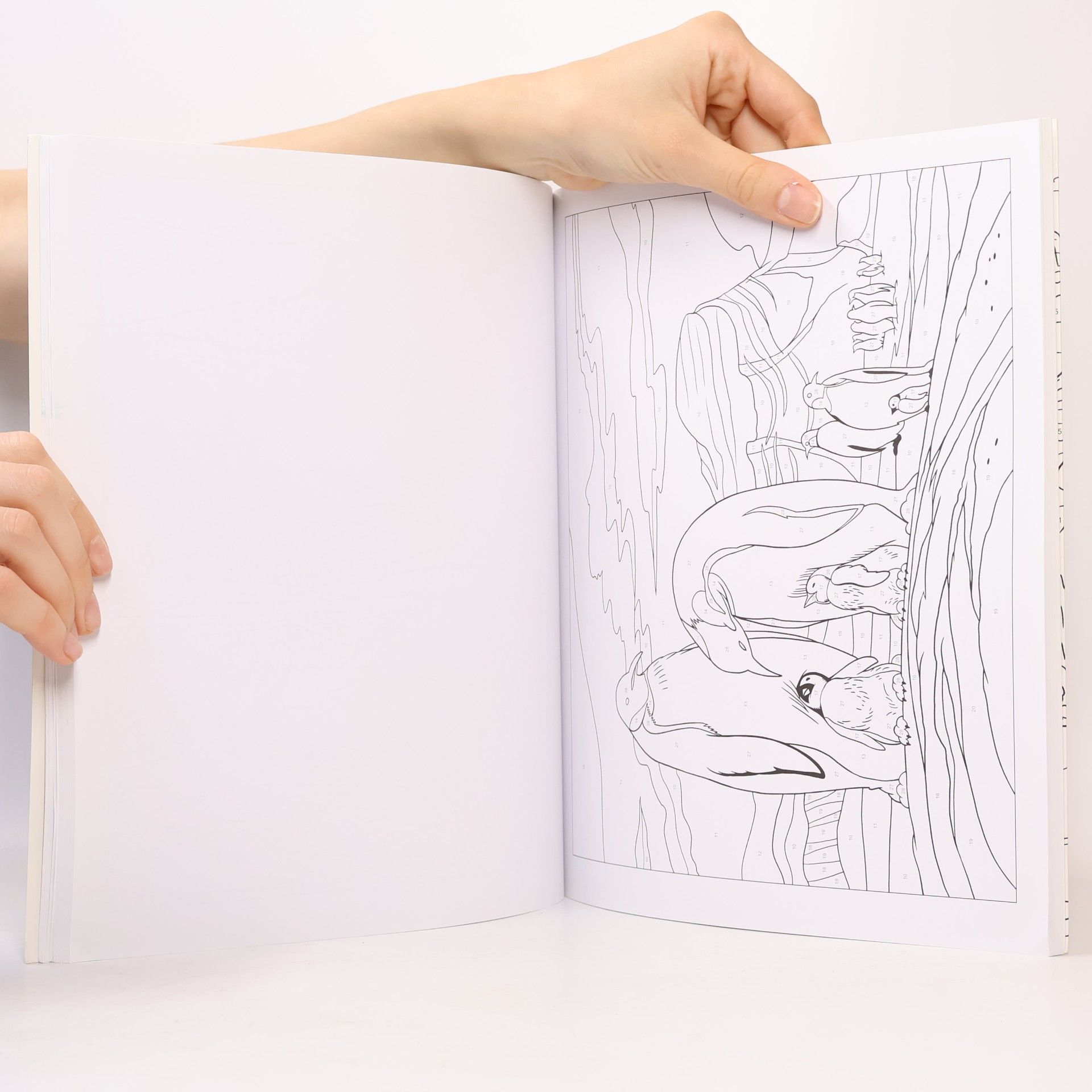 Nathalie Ortega Colour By Numbers Enchanted World