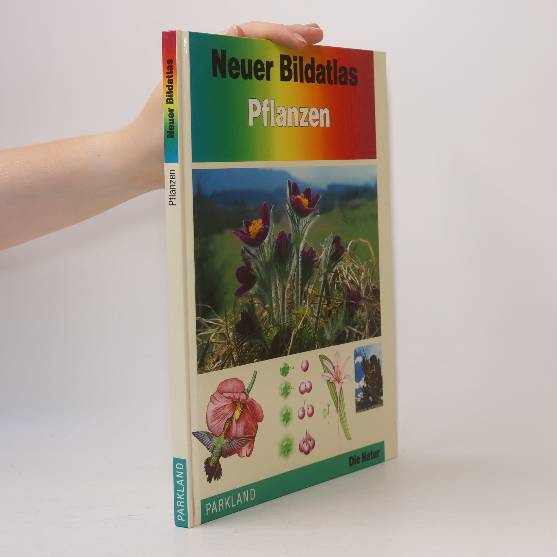 Neuer Bildatlas