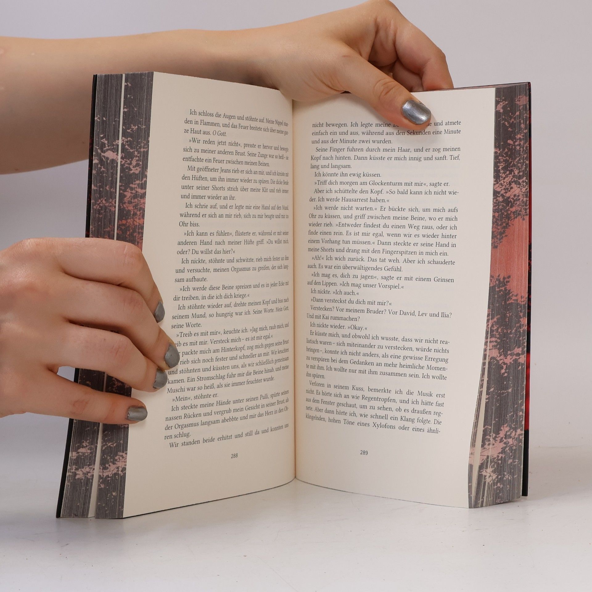 Penelope Douglas Hideaway - Verborgenes Verlangen / Devil’s Night Bd.2