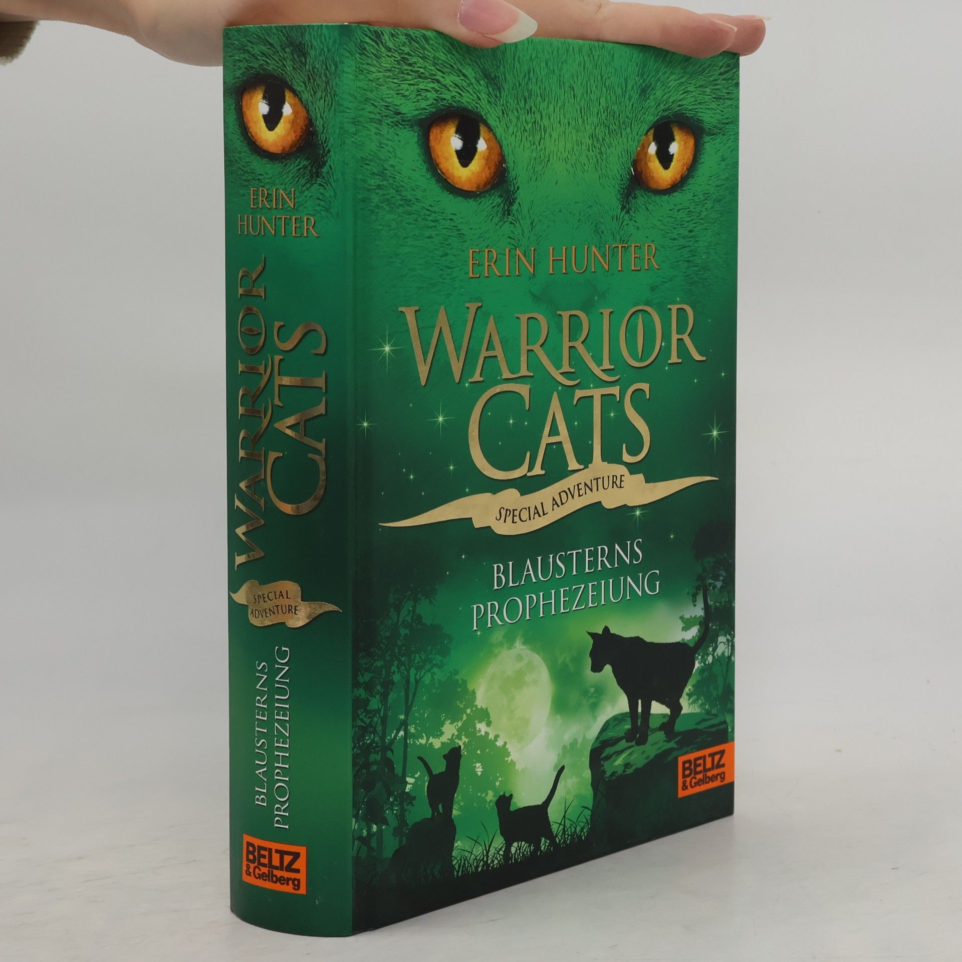 Erin Hunter Warrior cats. Special Adventure