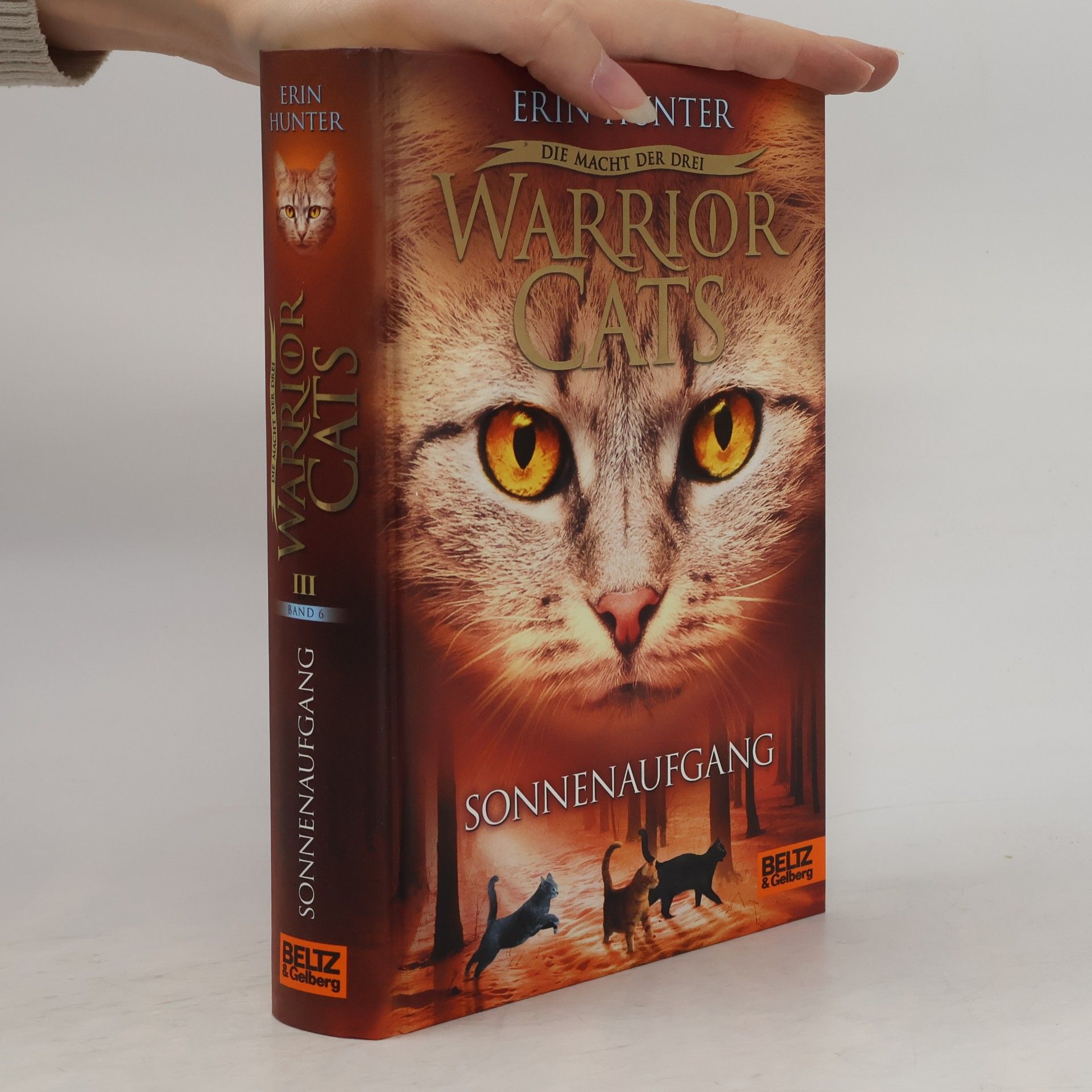 Erin Hunter Warrior Cats. Sonnenaufgang