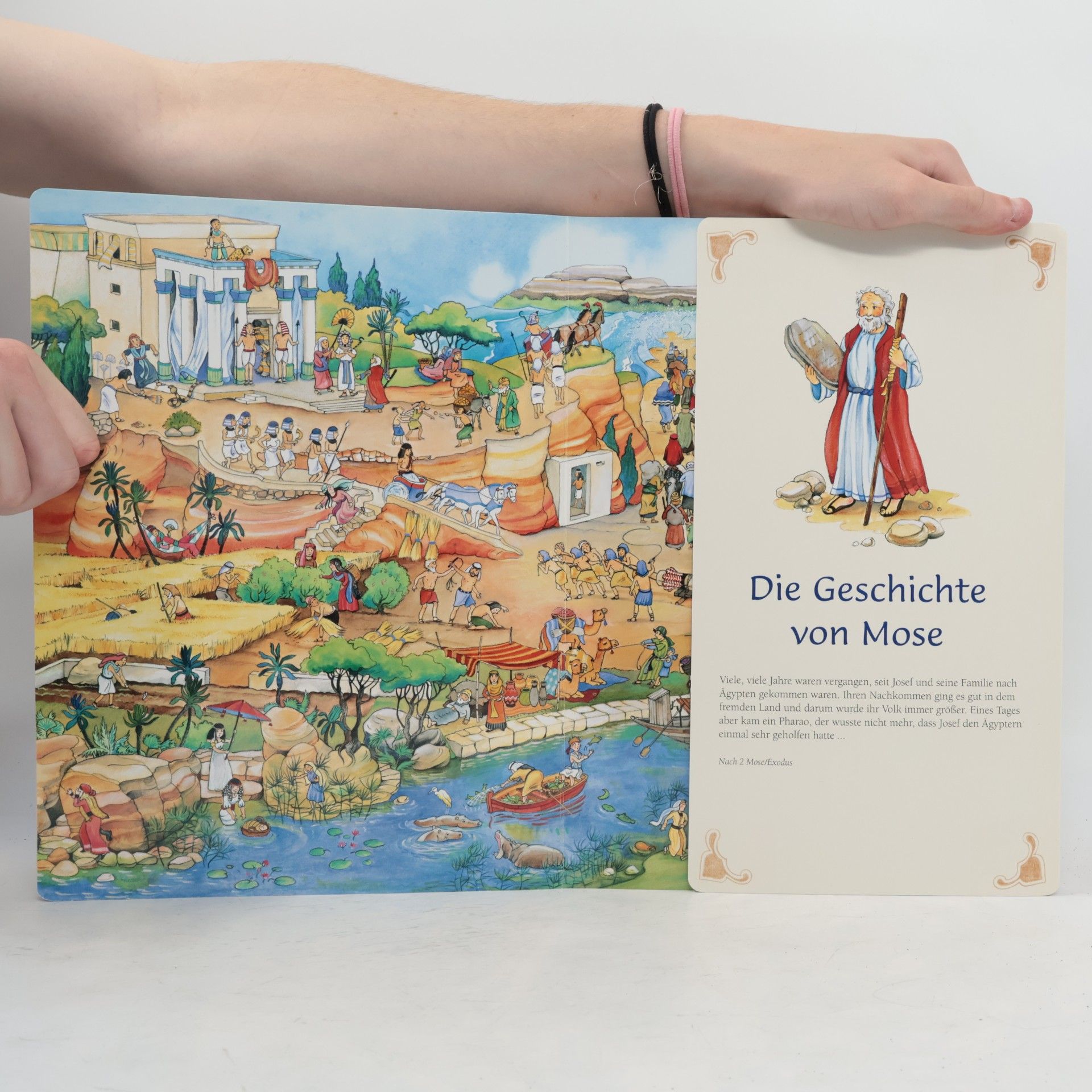 Antonie Schneider Mein großes Bibel-Wimmelbuch