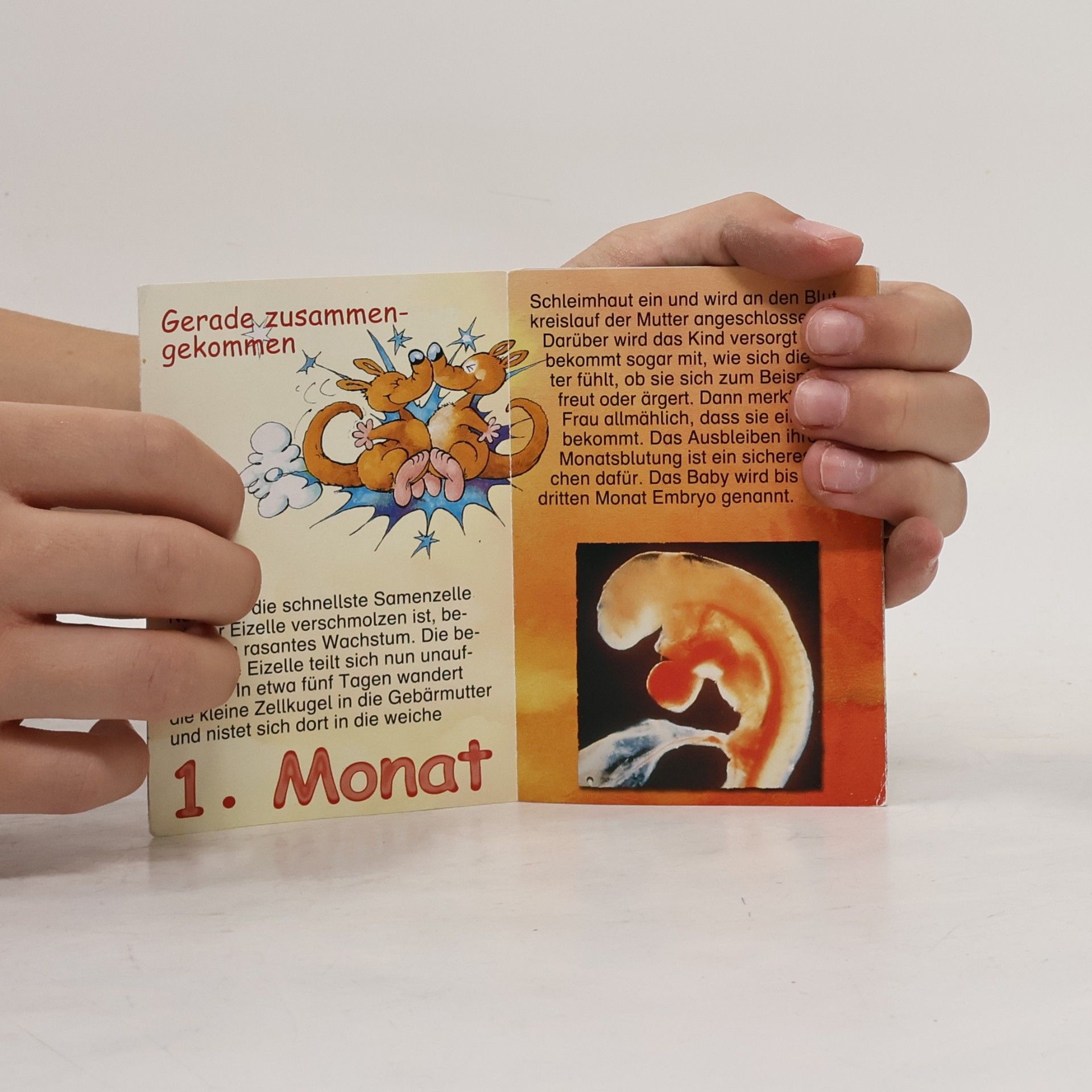 Autorenkollektiv Das kleine 9x2