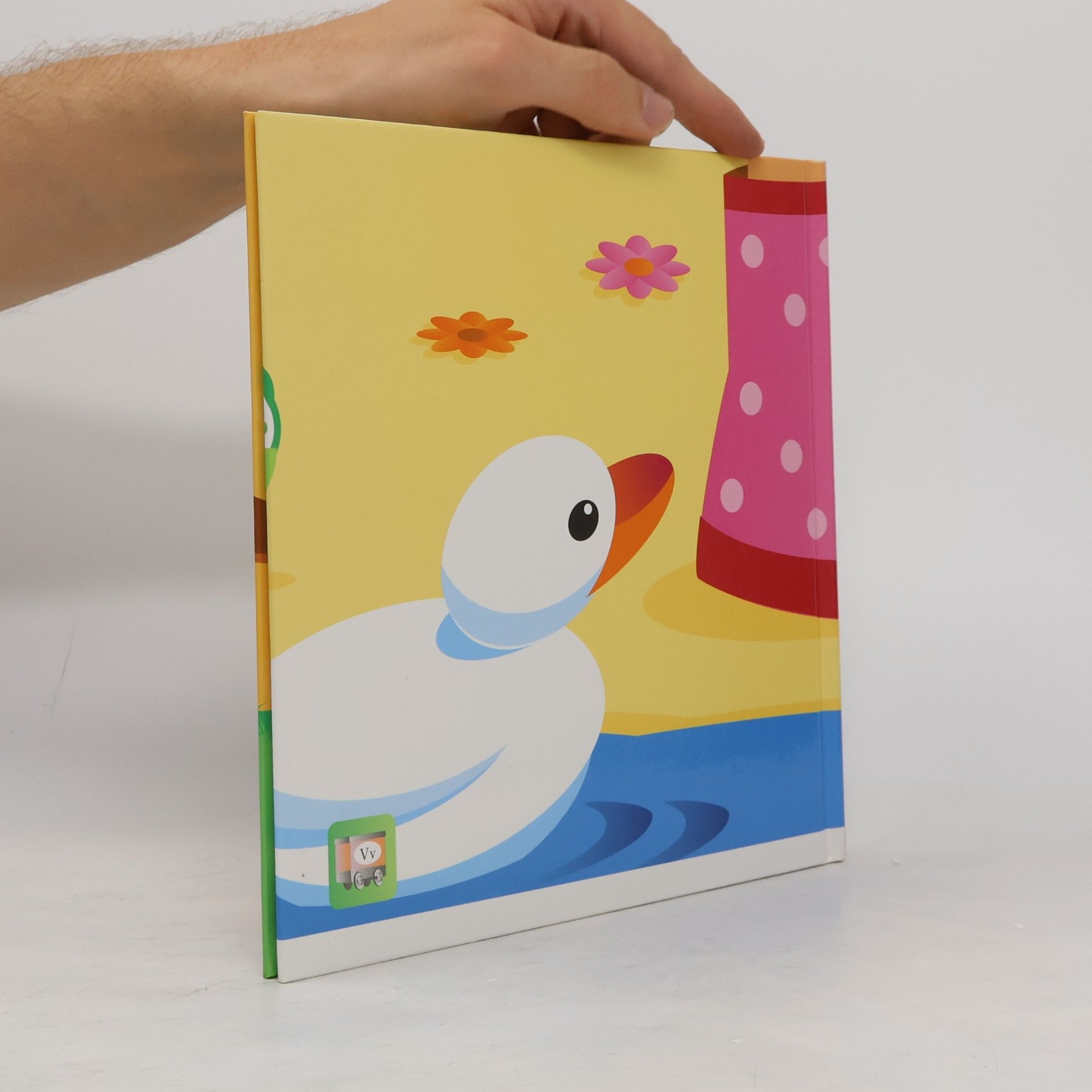Pia Wall V-Buch