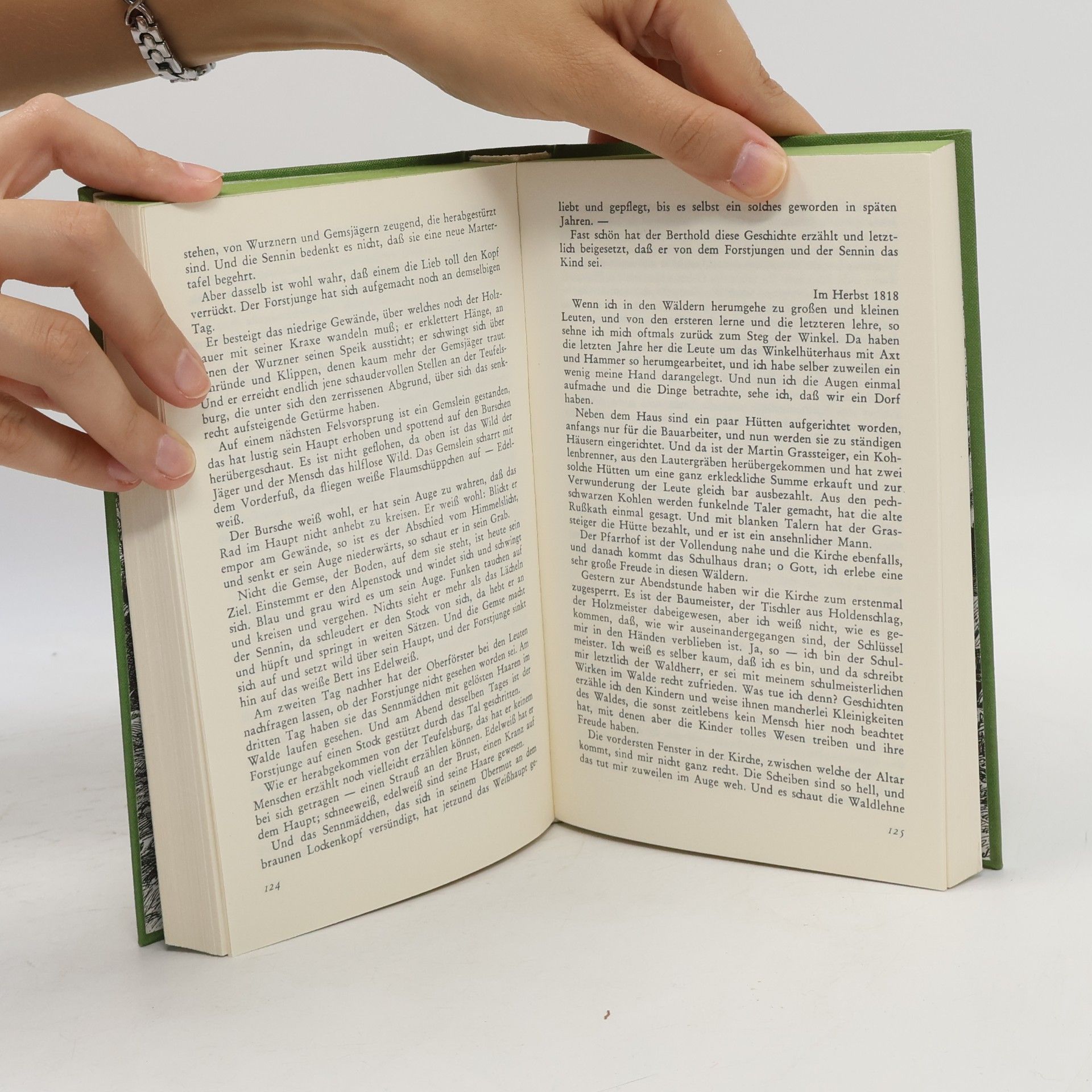 Peter Rosegger Die Schriften des Waldschulmeisters