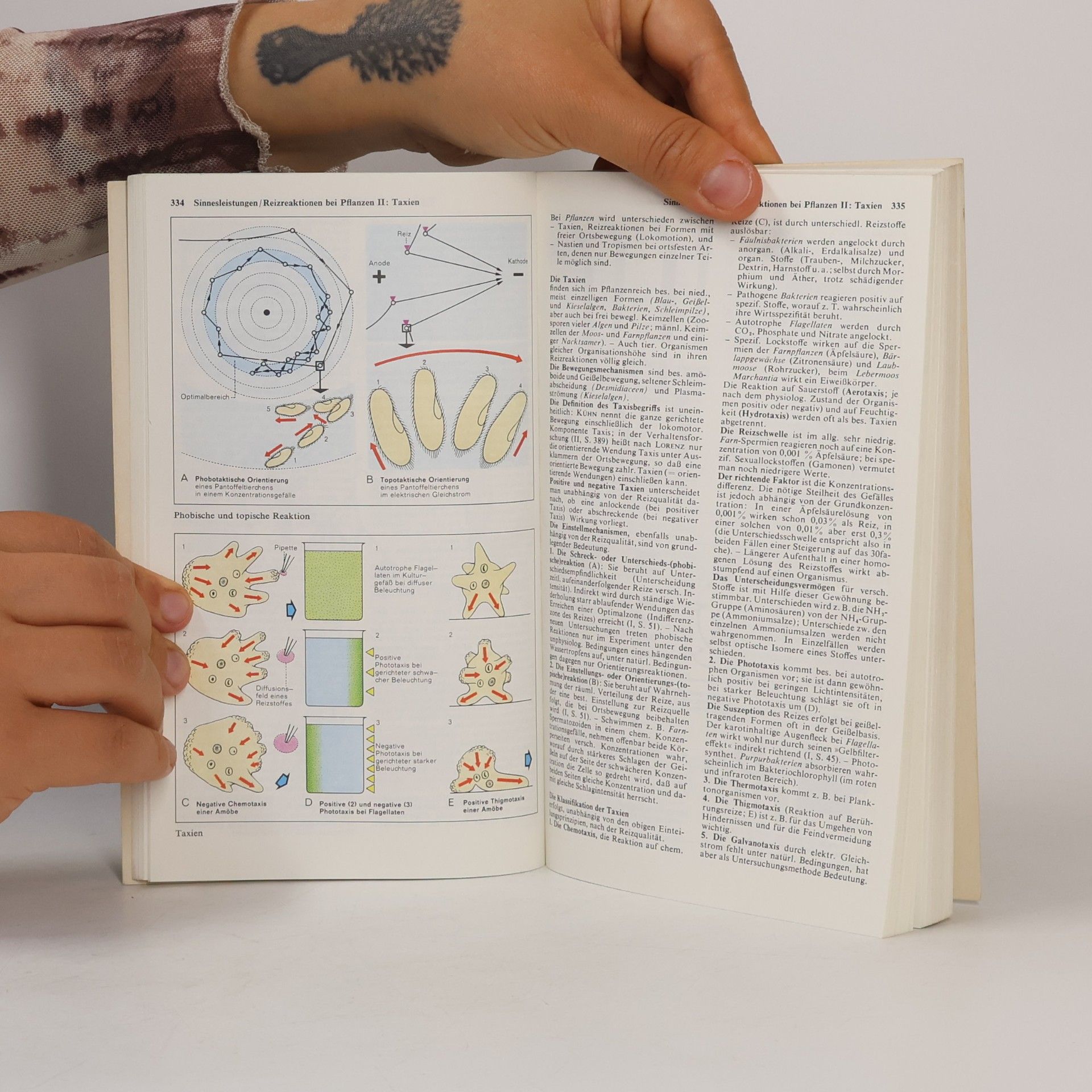Various authors Dtv-Atlas zur Biologie 2