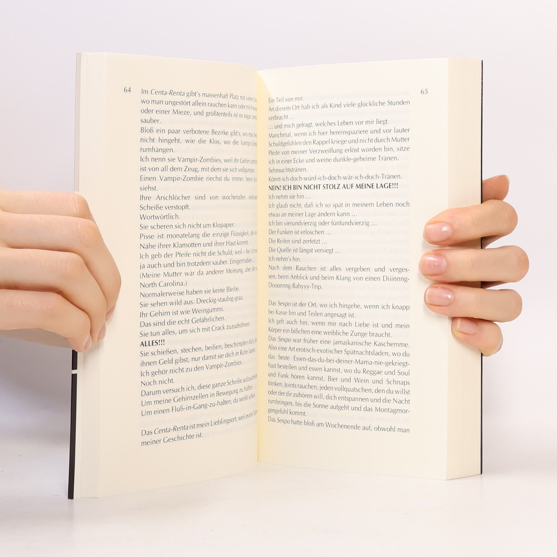 Ray Shell Vereist. Tagebuch eines Crack-Abhängigen