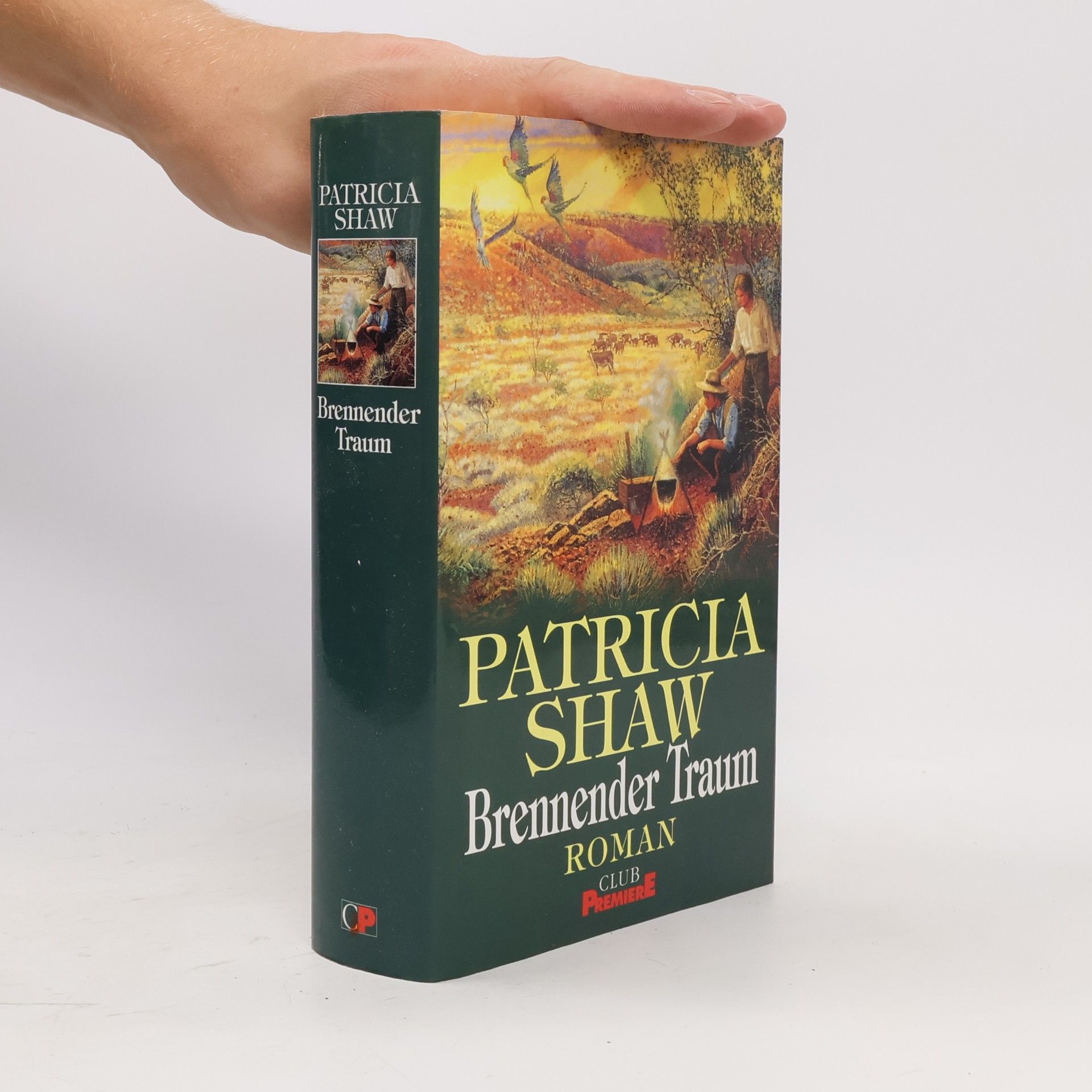 Patricia Shaw Brennender Traum