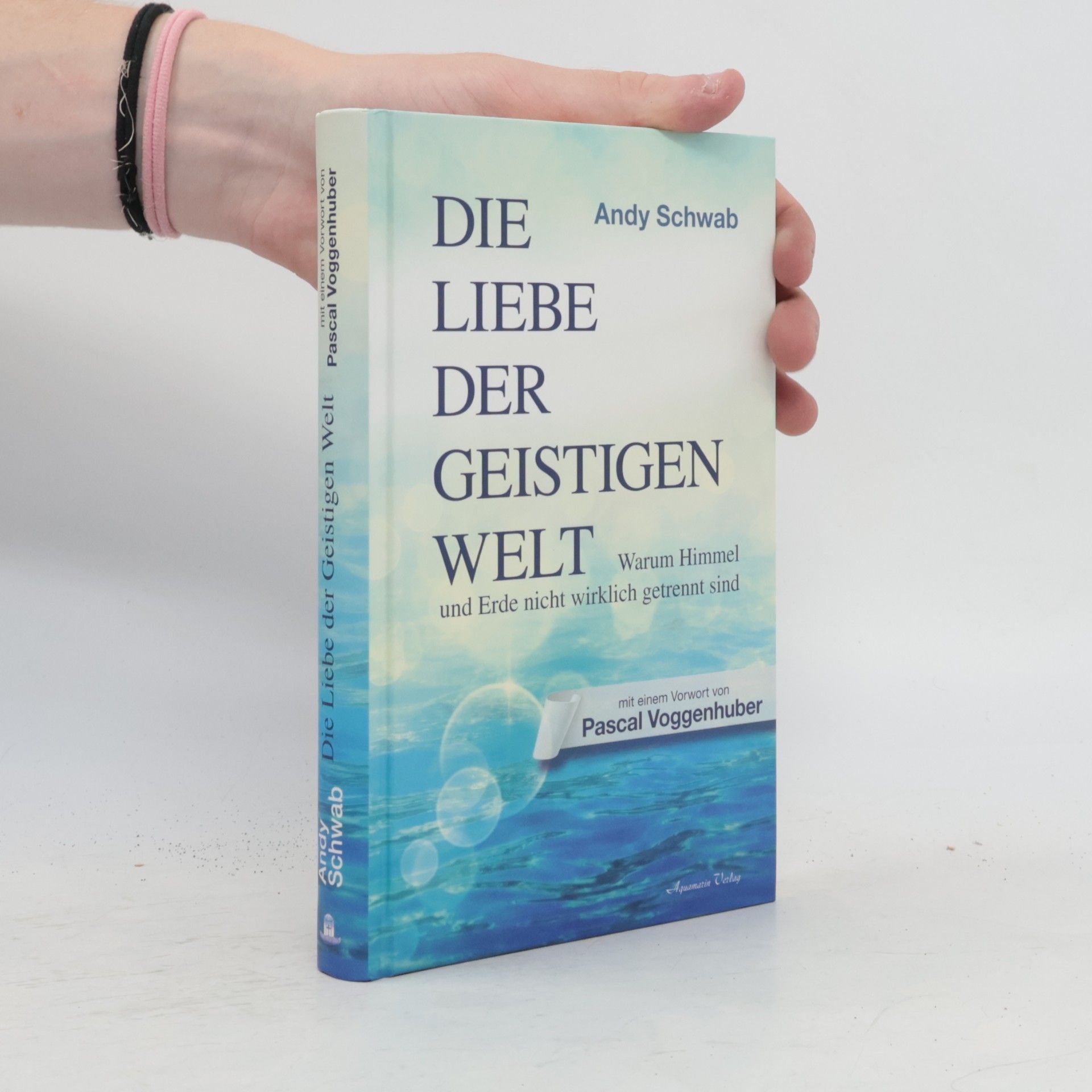 Andy Schwab Die Liebe der Geistigen Welt